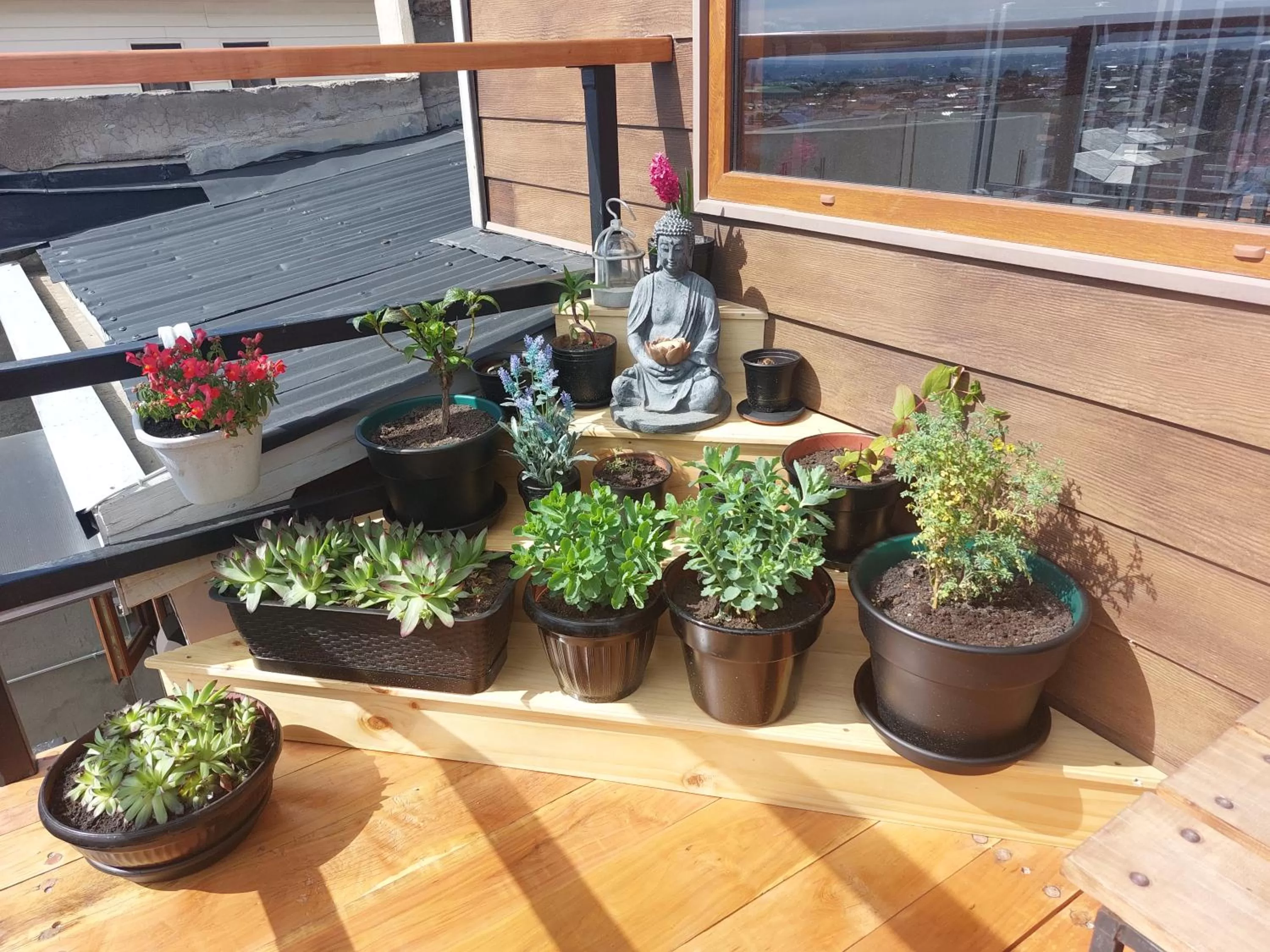 Balcony/Terrace in Hostal Buenavista Patagonia