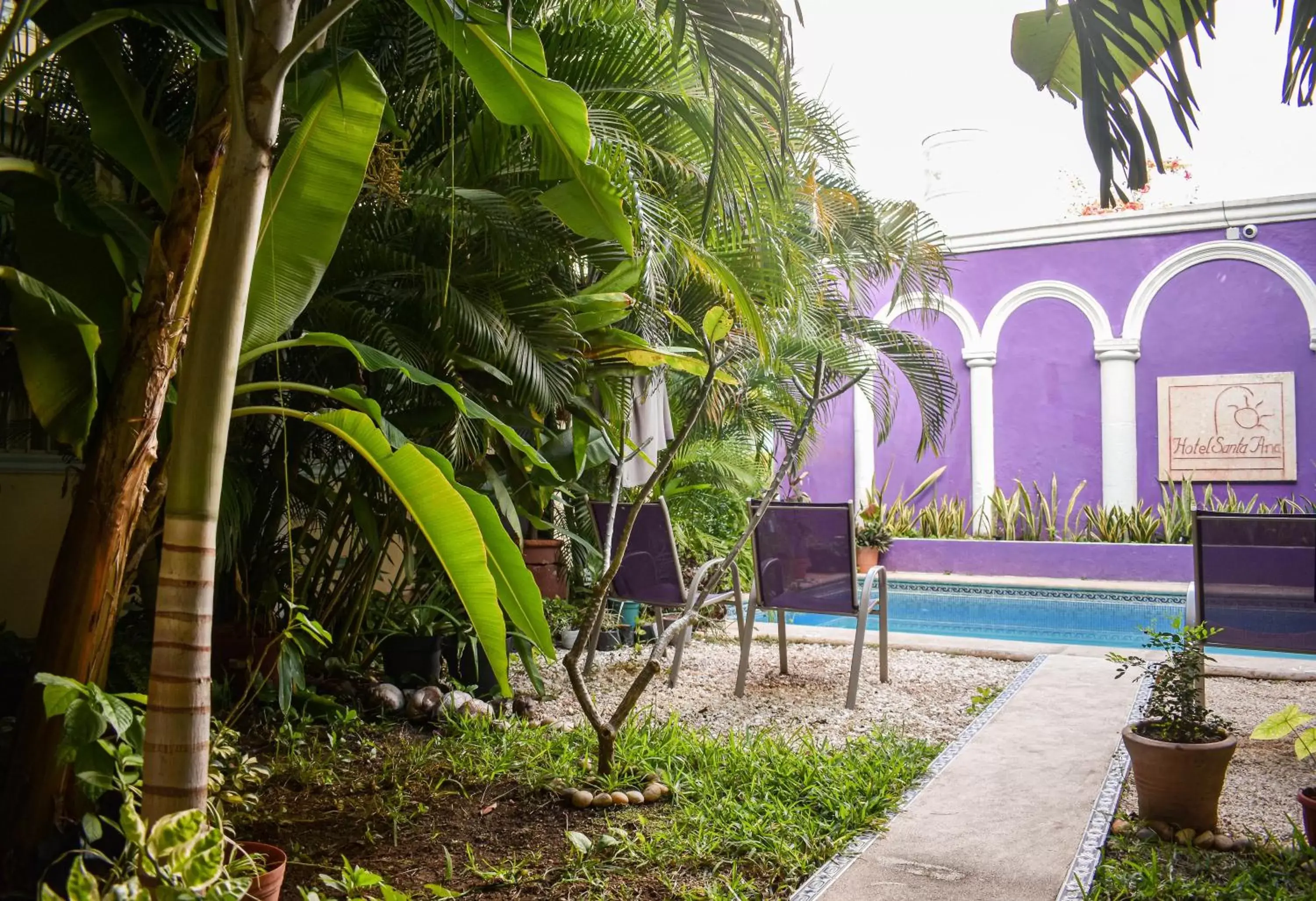 Garden, Swimming Pool in Hotel Santa Ana