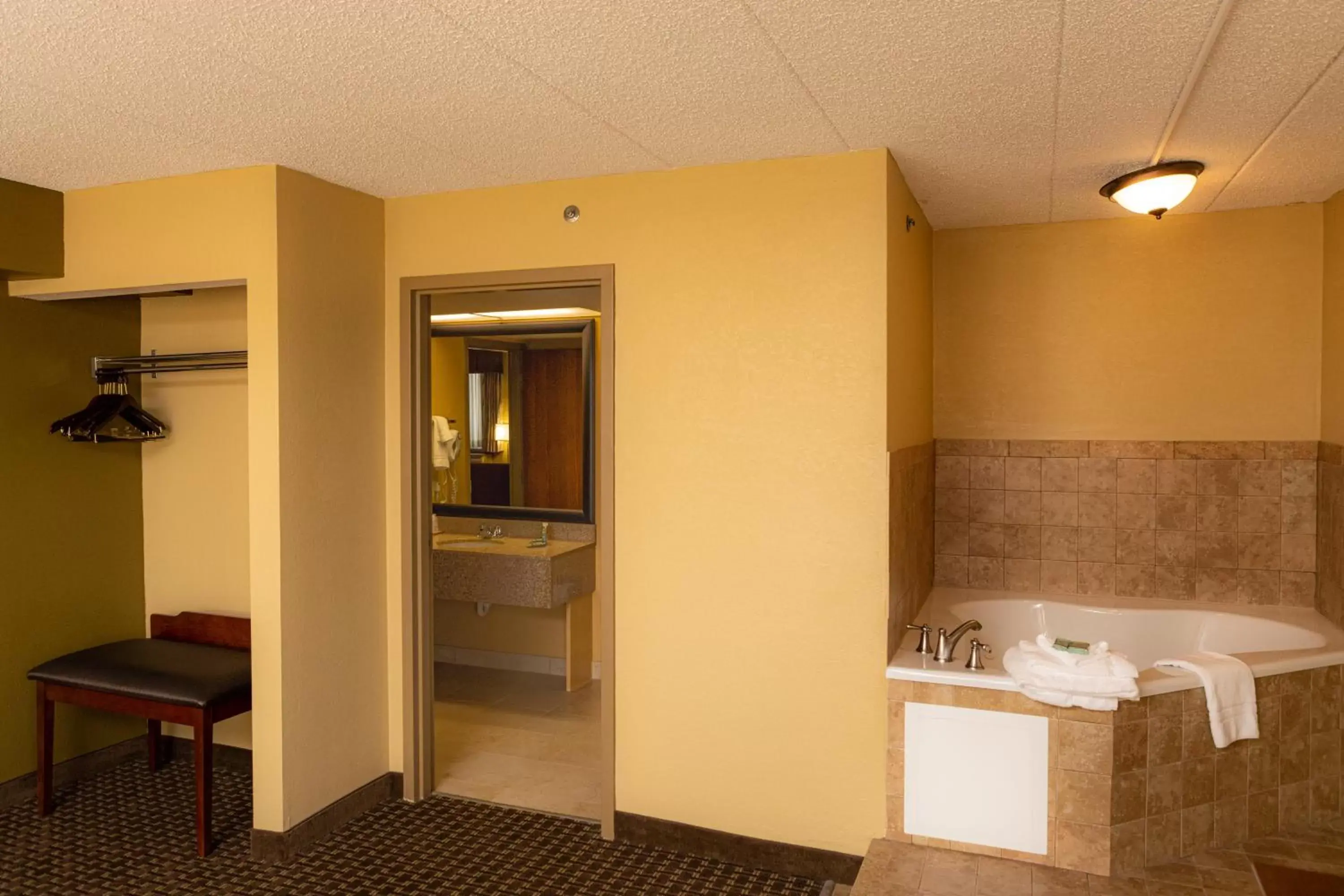 Bathroom in Best Western Executive Inn Kenosha - Pleasant Prairie