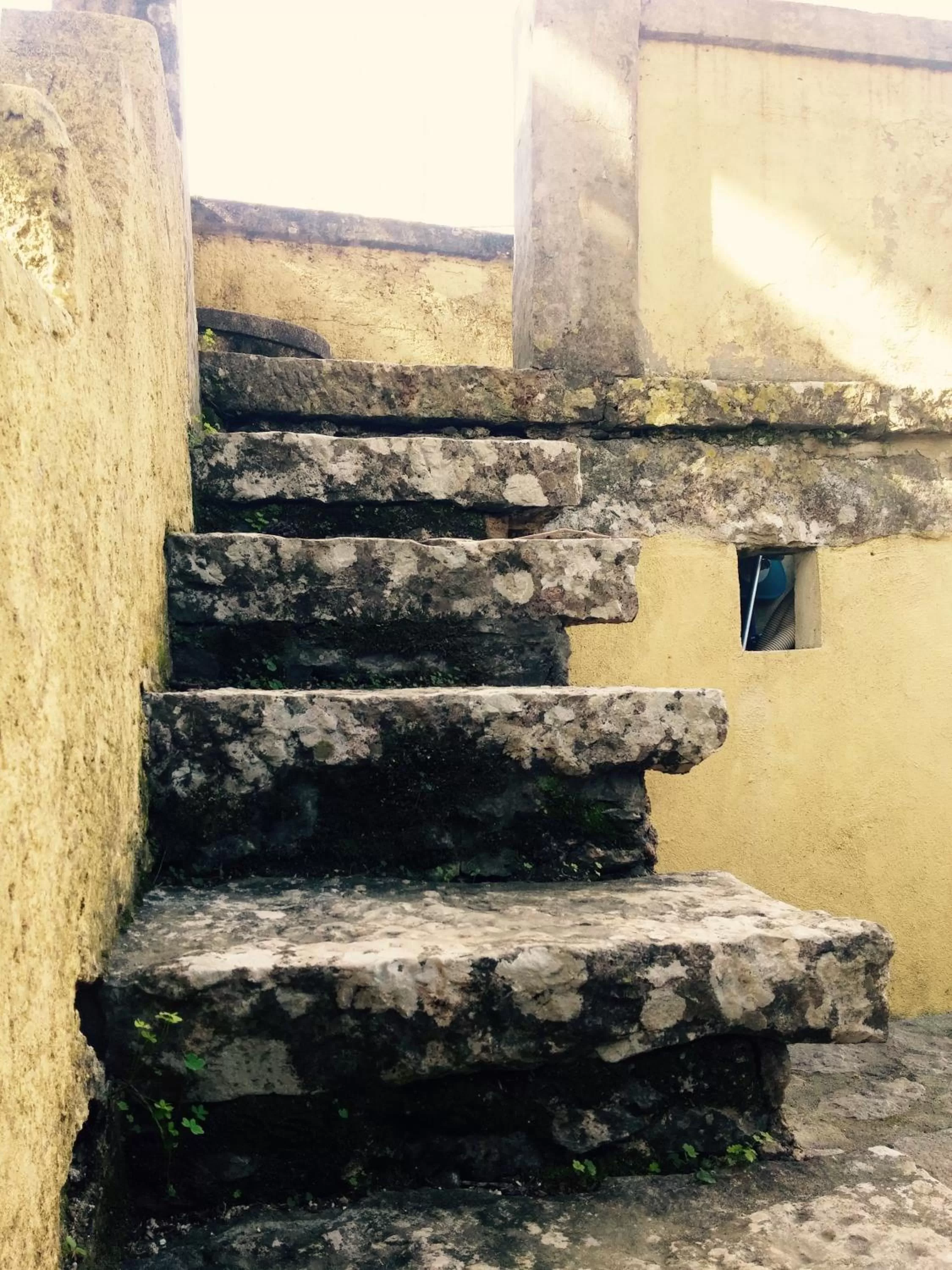 Other in Guest House Villa dos Poetas