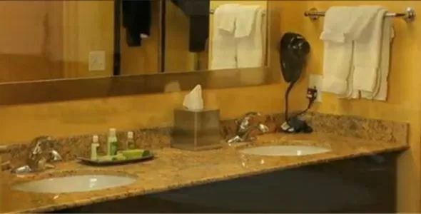 Executive King Suite - Non-Smoking in Crystal Inn Hotel & Suites - Great Falls