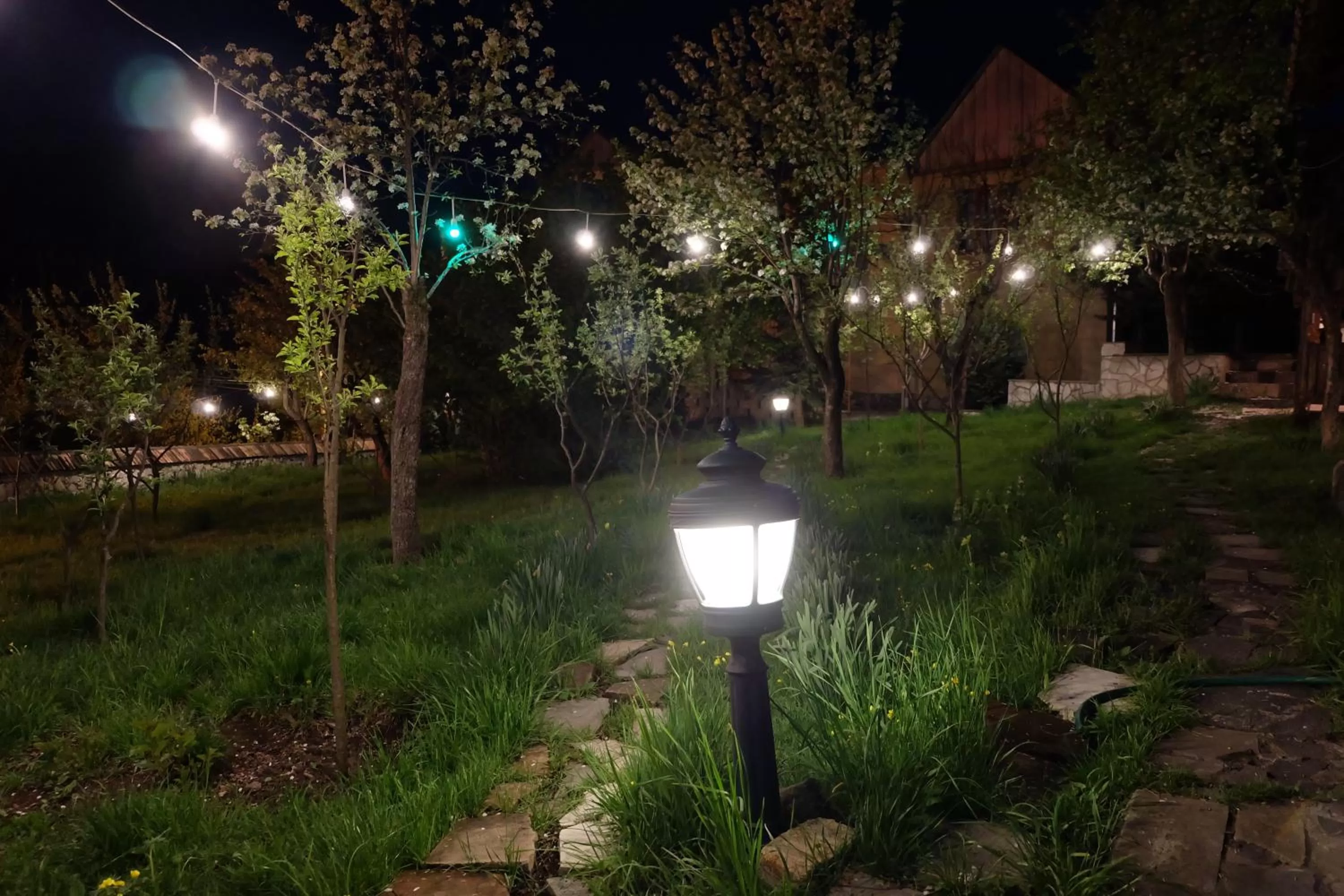 Night in Dil Hill by Sam