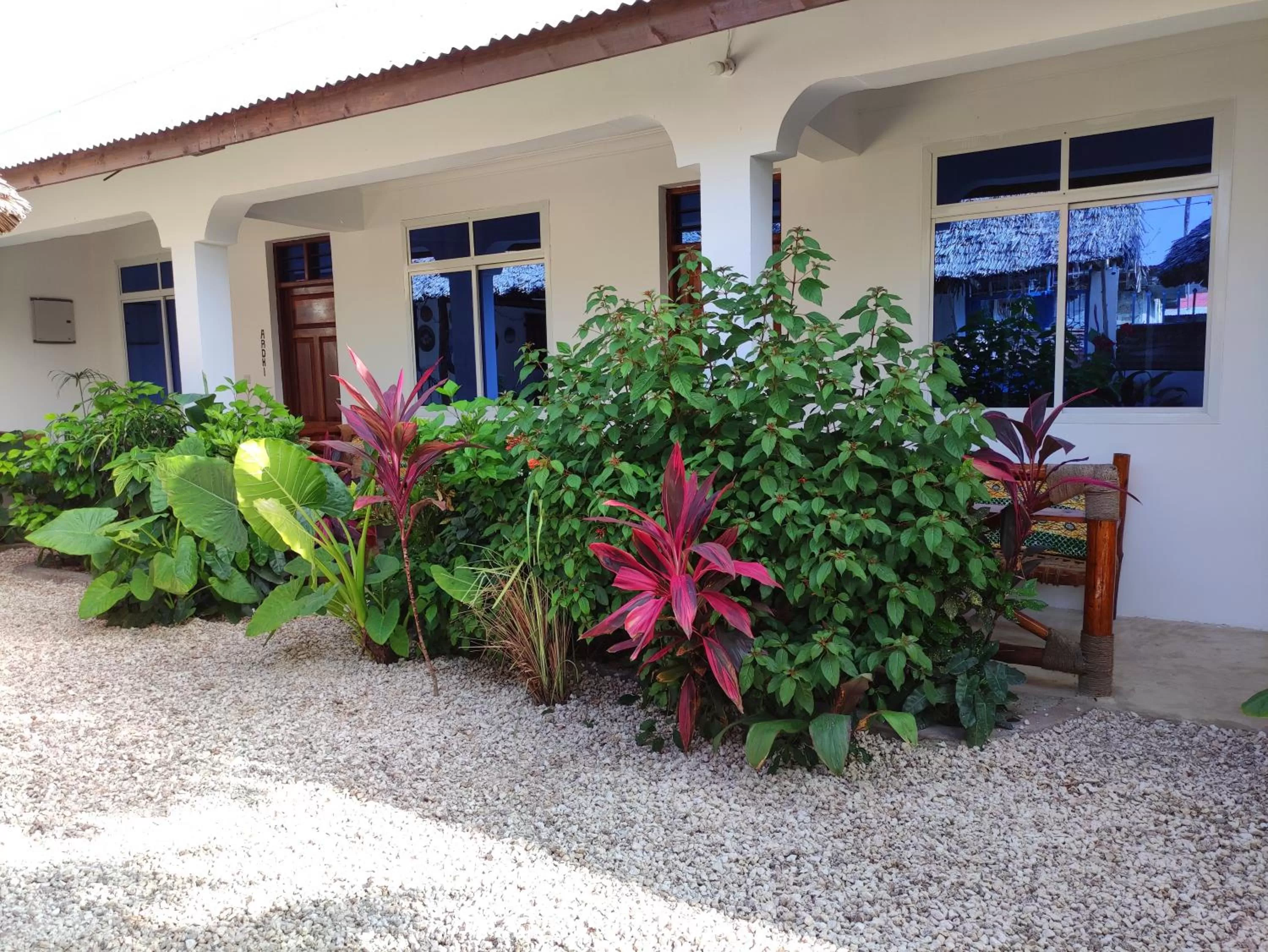 Property Building in MaNa Nungwi