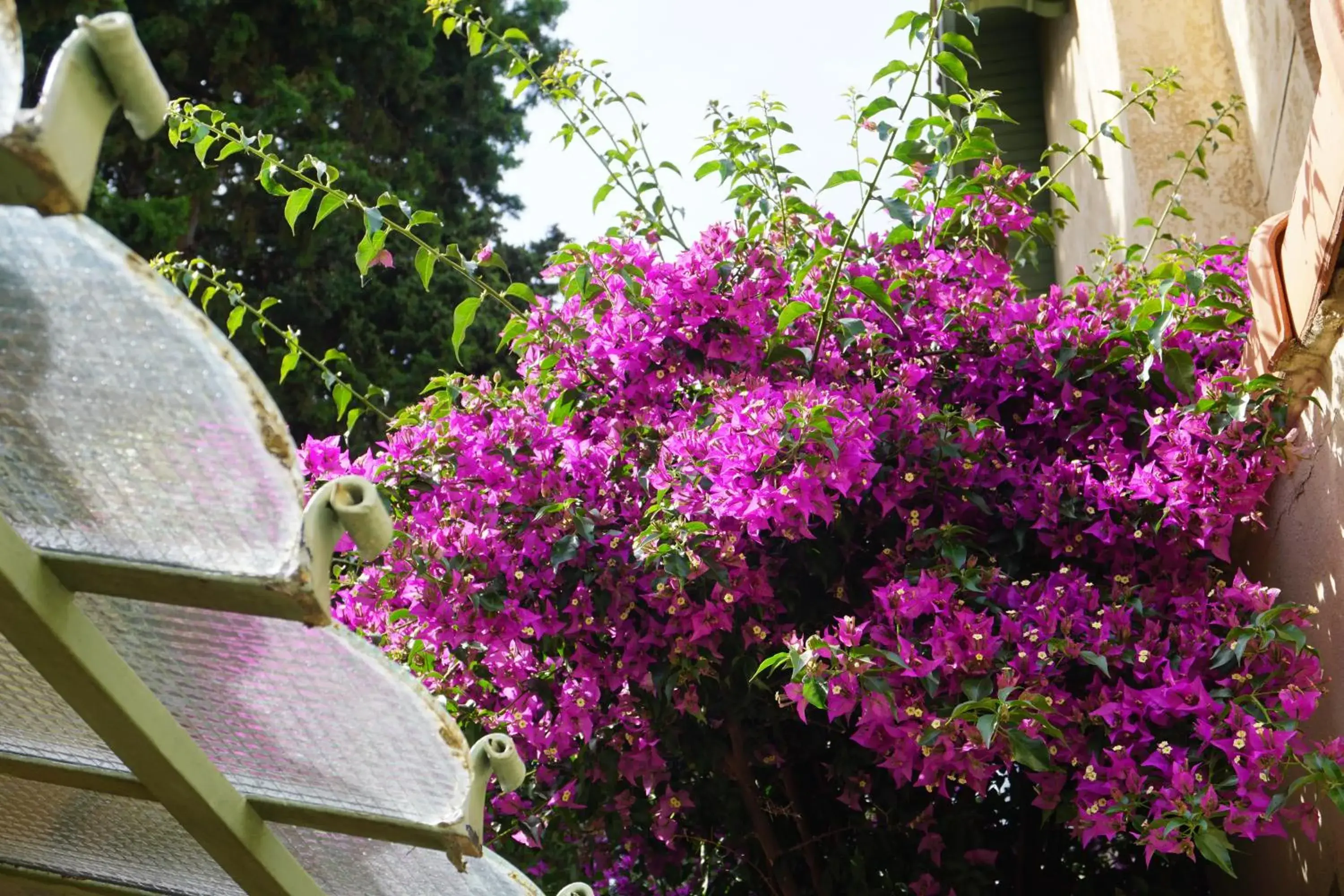 Garden view in Hotel Le Ponteil Garden view in Hotel Le Ponteil