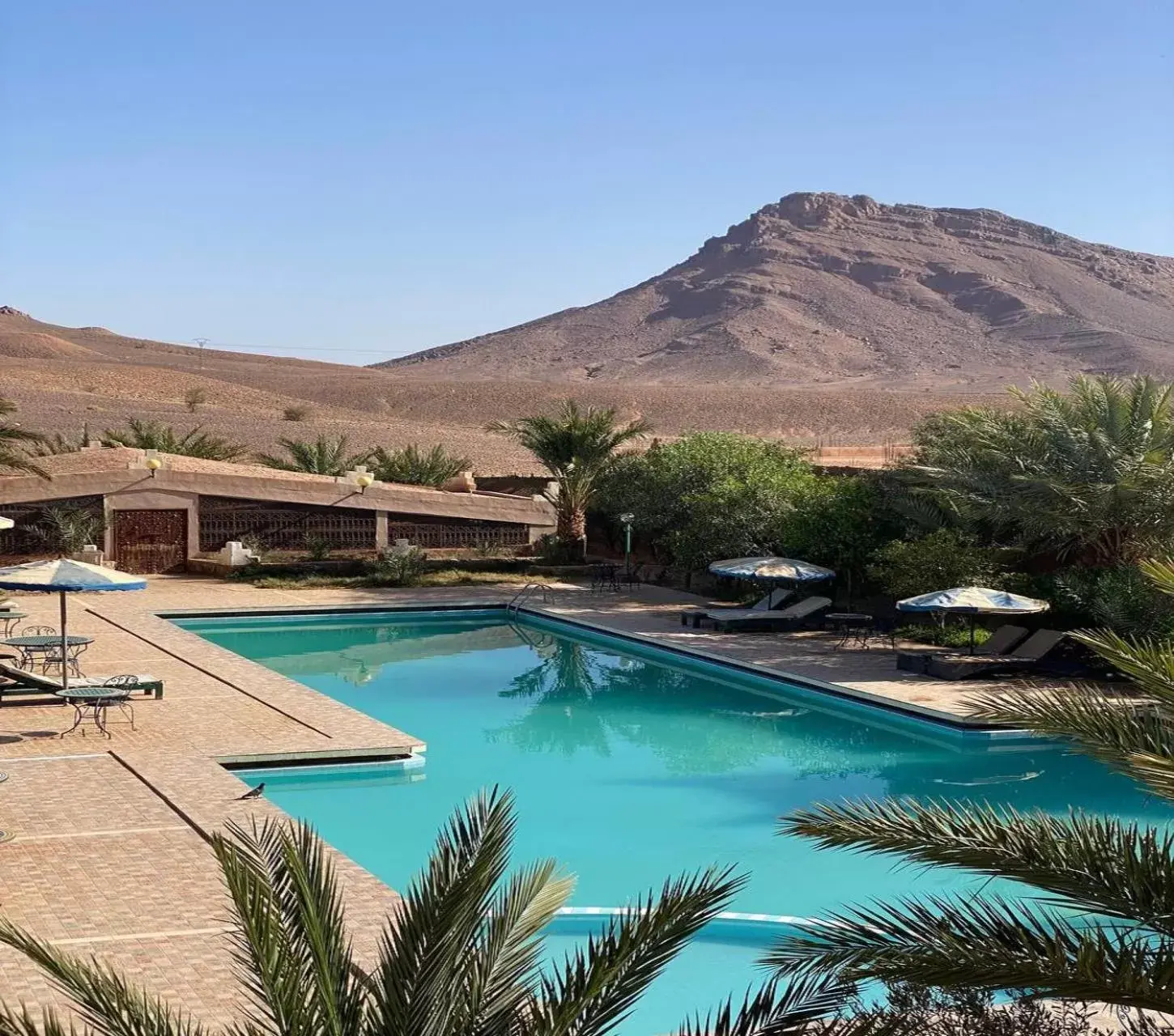 Swimming Pool in La Perle Du Drâa