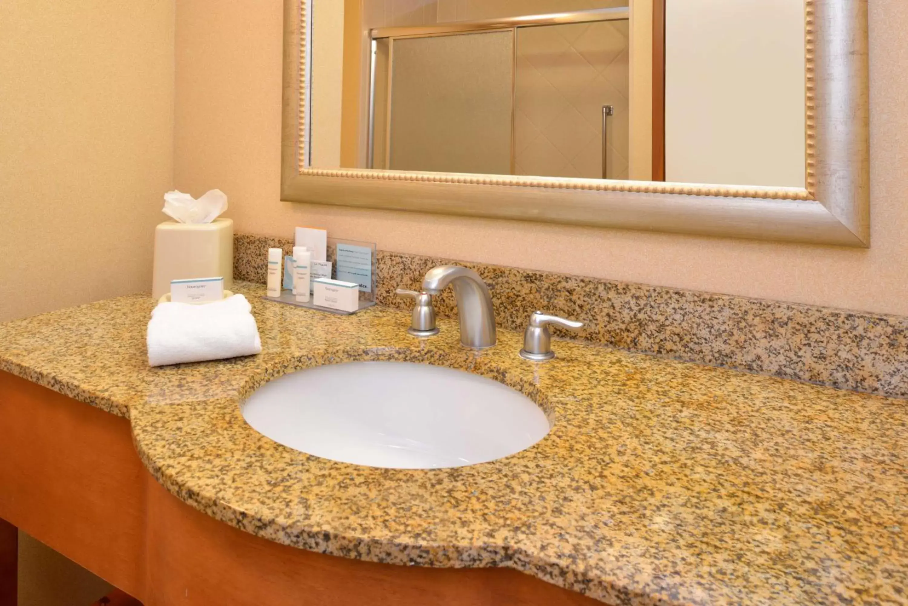 Bathroom in Hampton Inn & Suites Tampa-East/Casino/Fairgrounds