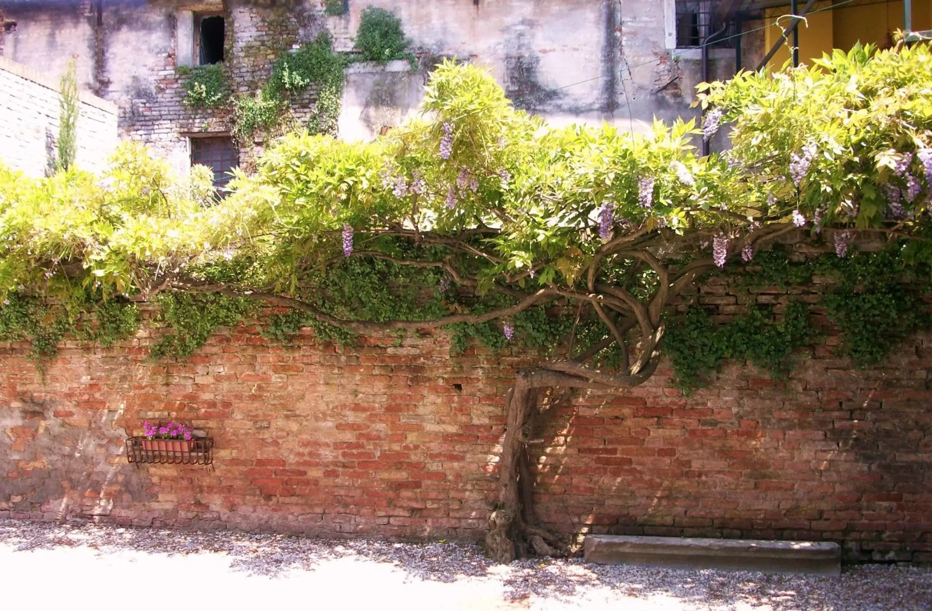 Garden in Relais Alcova del Doge