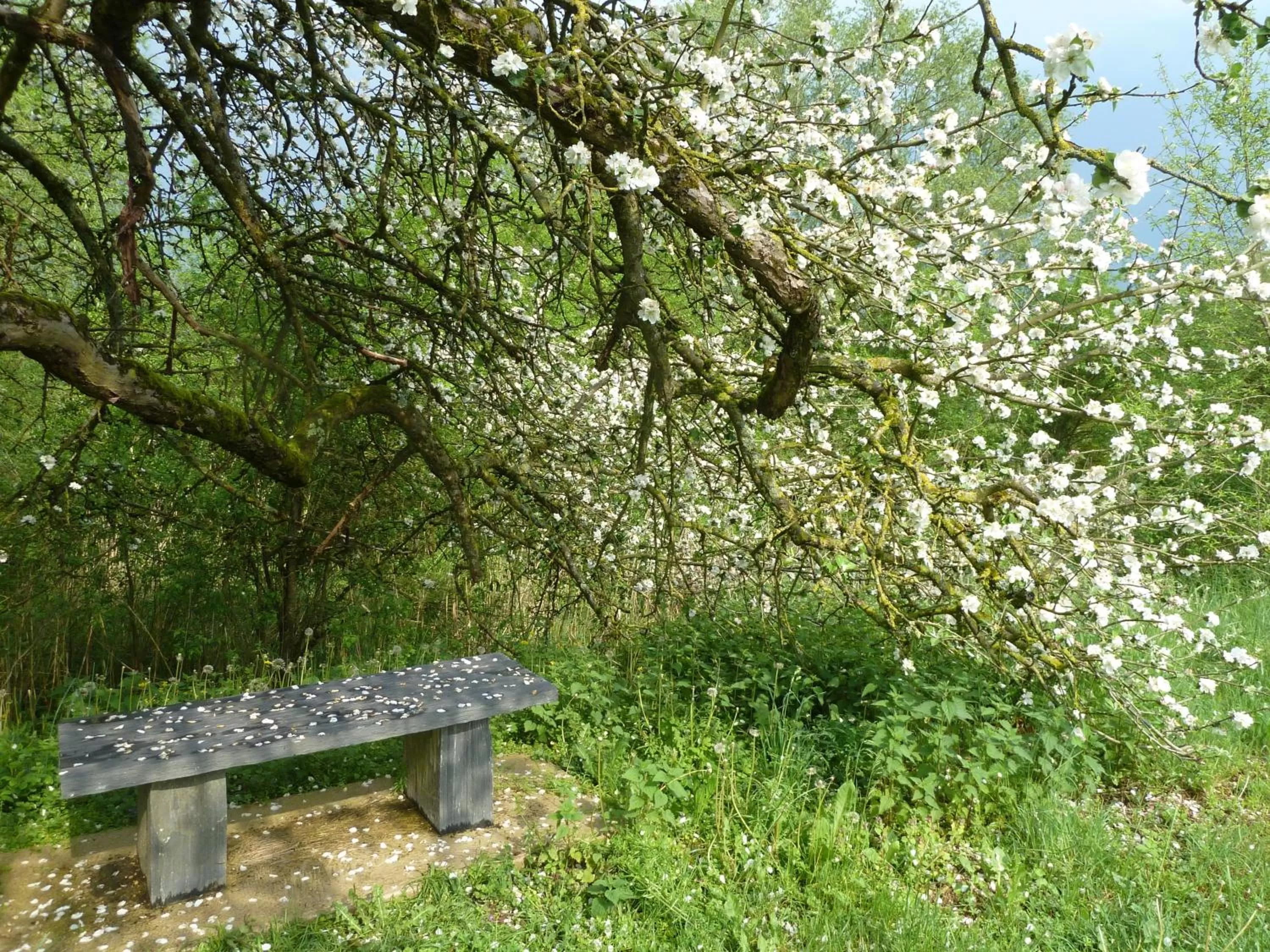 Nearby landmark in Maison Les Beaux Arts