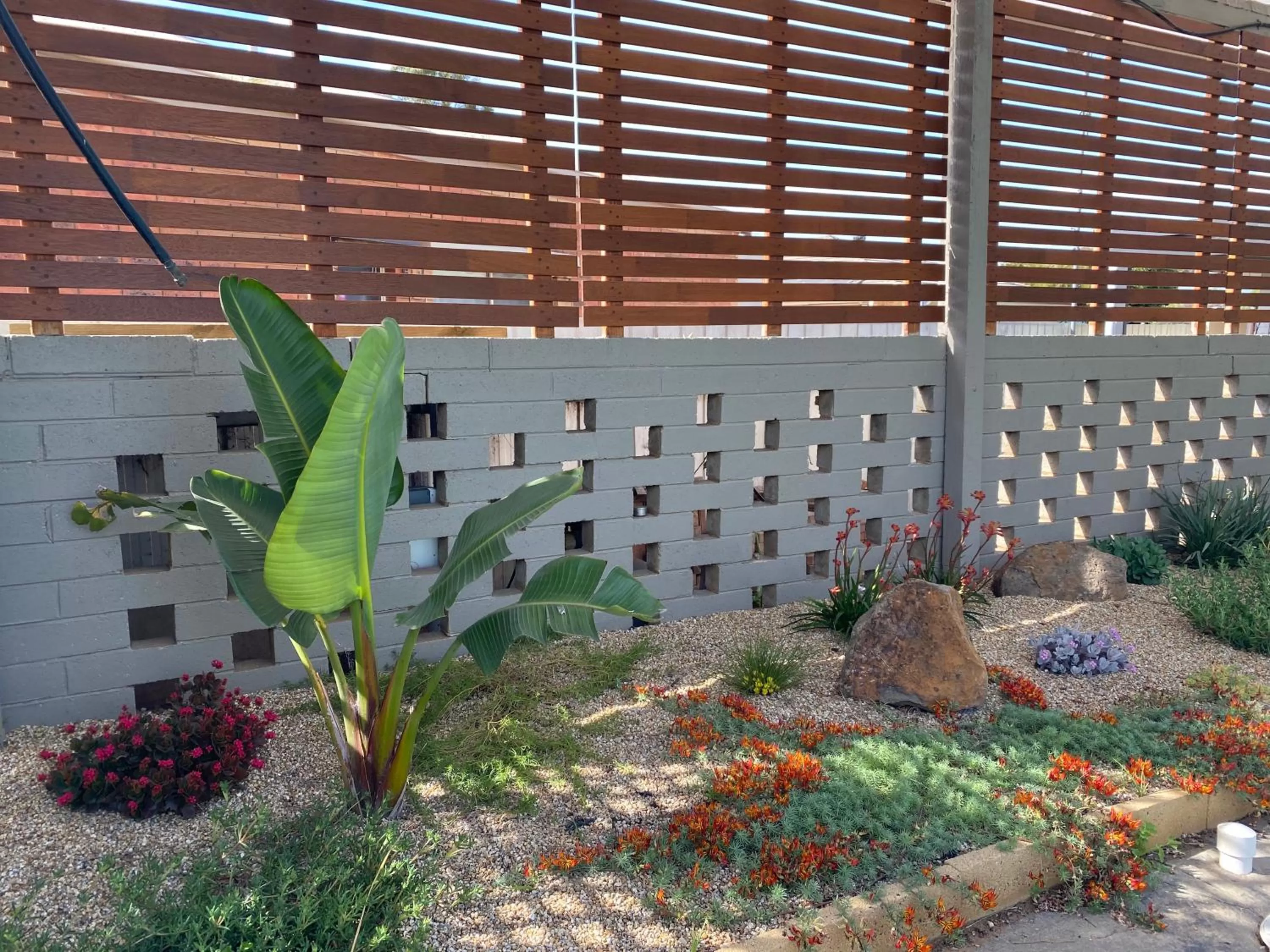 Swimming pool in Cobram Colonial Motor Inn