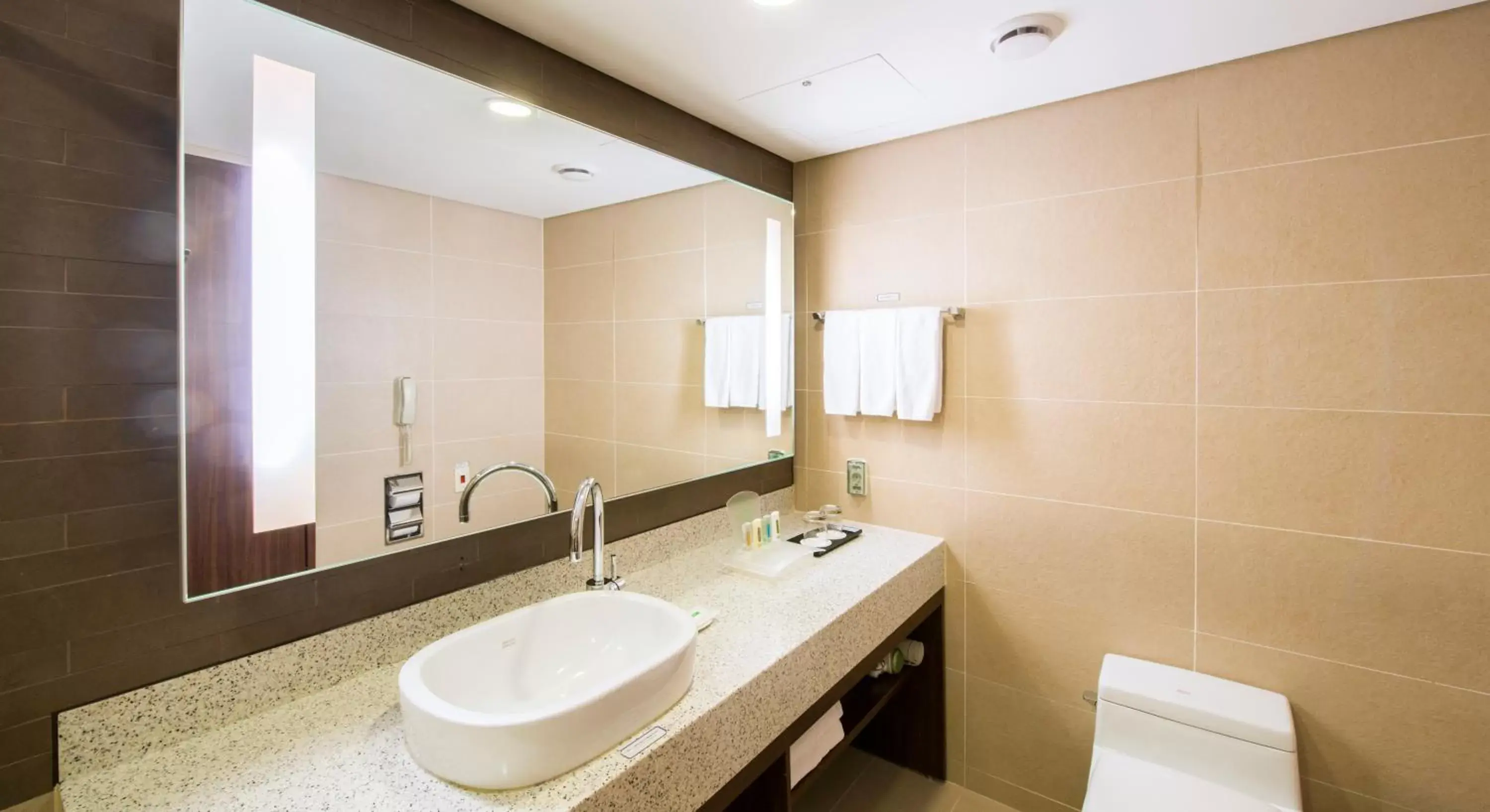 Bathroom in Holiday Inn Resort Alpensia Pyeongchang, an IHG Hotel