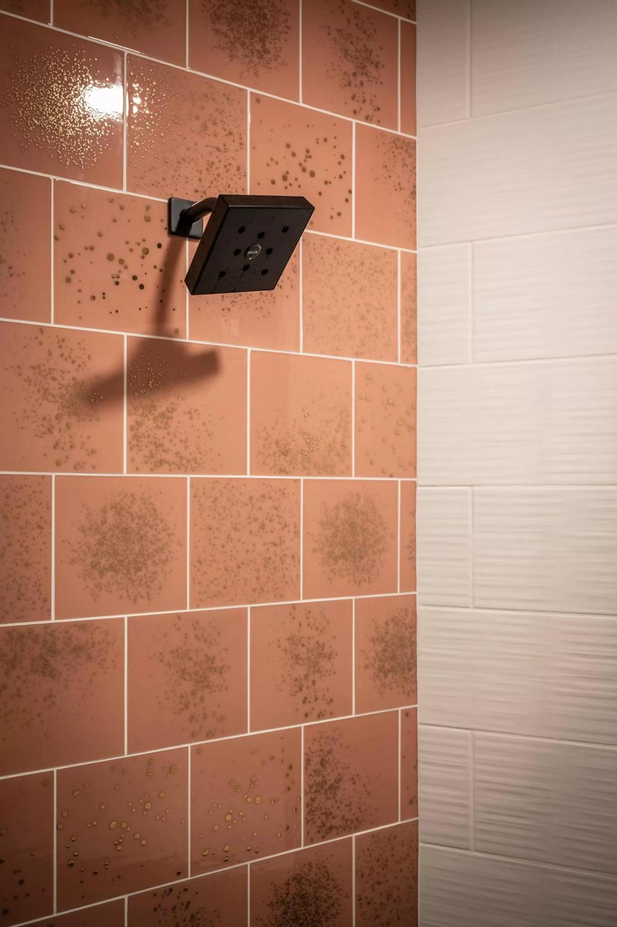 Shower in Hotel Broad Ripple