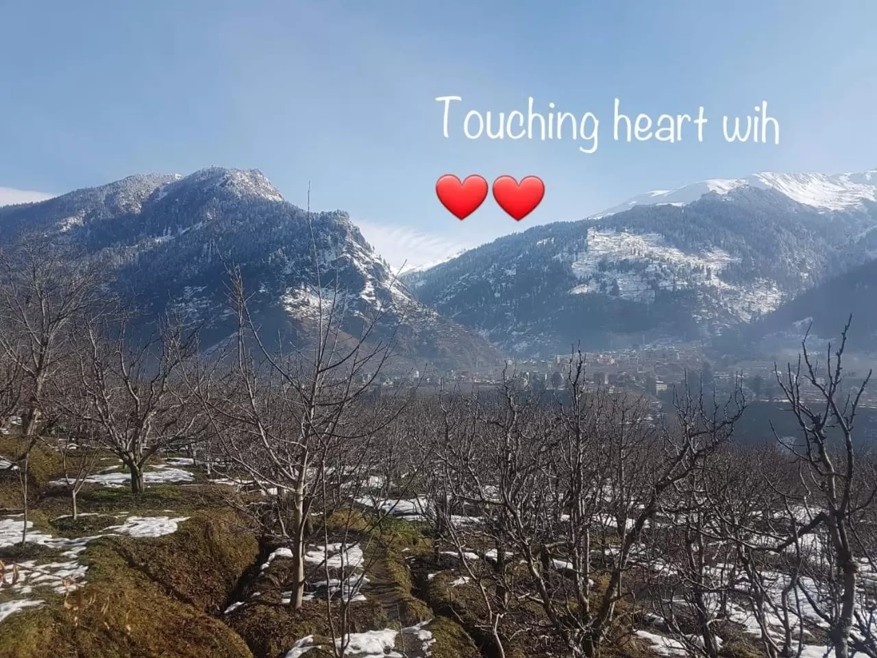 Natural landscape, Winter in Sai Cottage Shimla