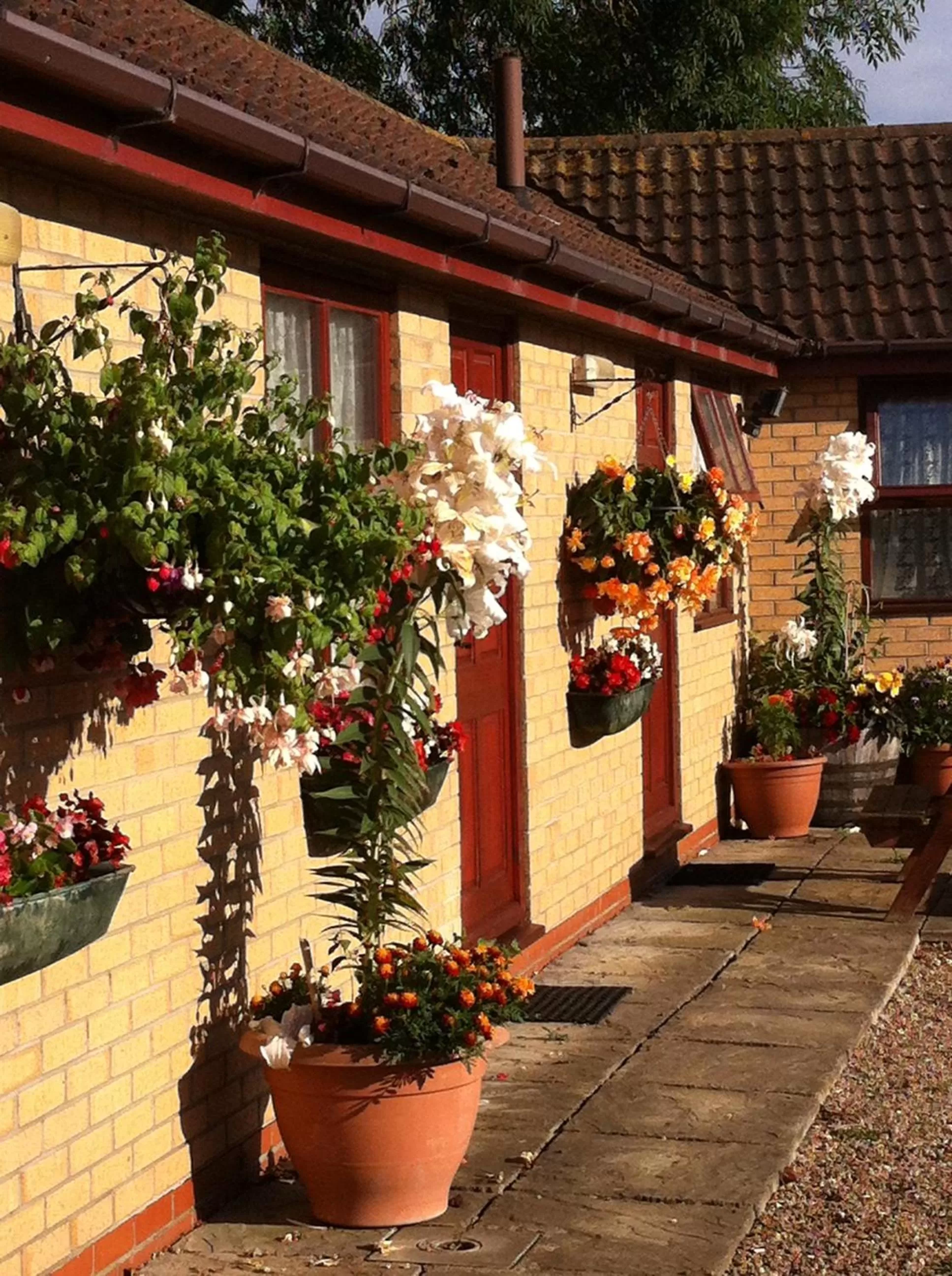 Property building in The Star Inn