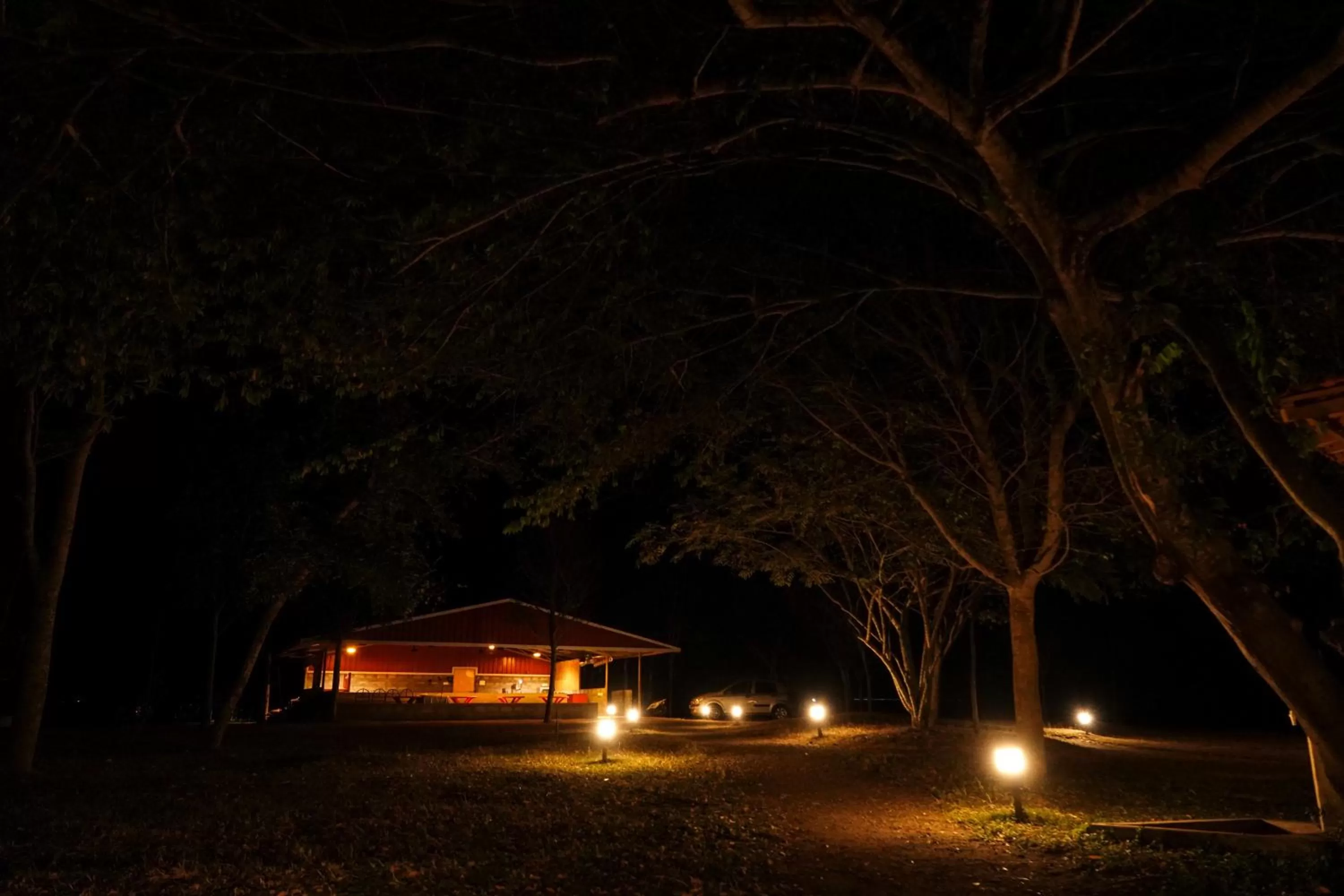 Property building in labdhi Resorts Masinagudi- Stag Groups not allowed