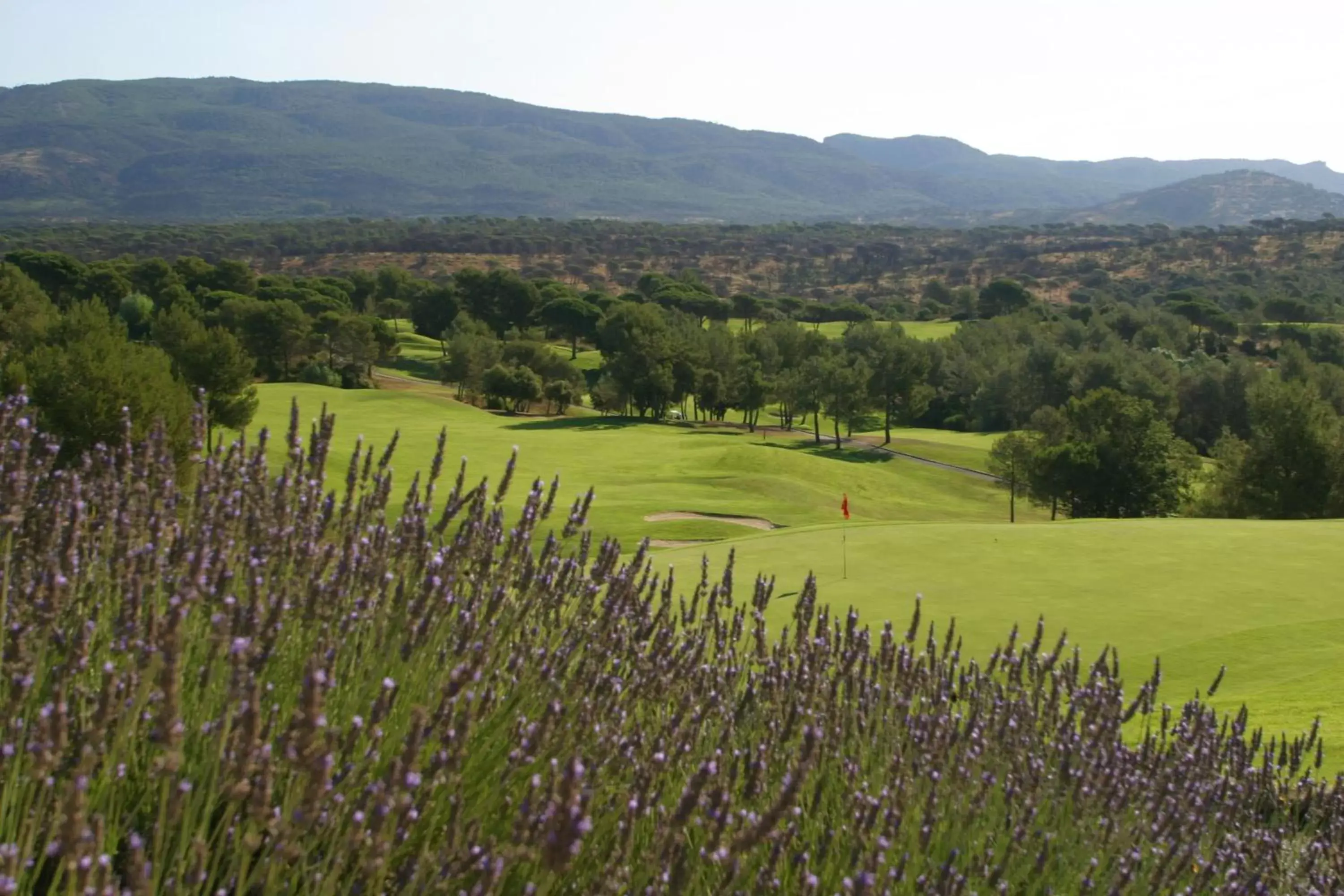 Golfcourse in Les Domaines de Saint Endreol Golf & Spa Resort