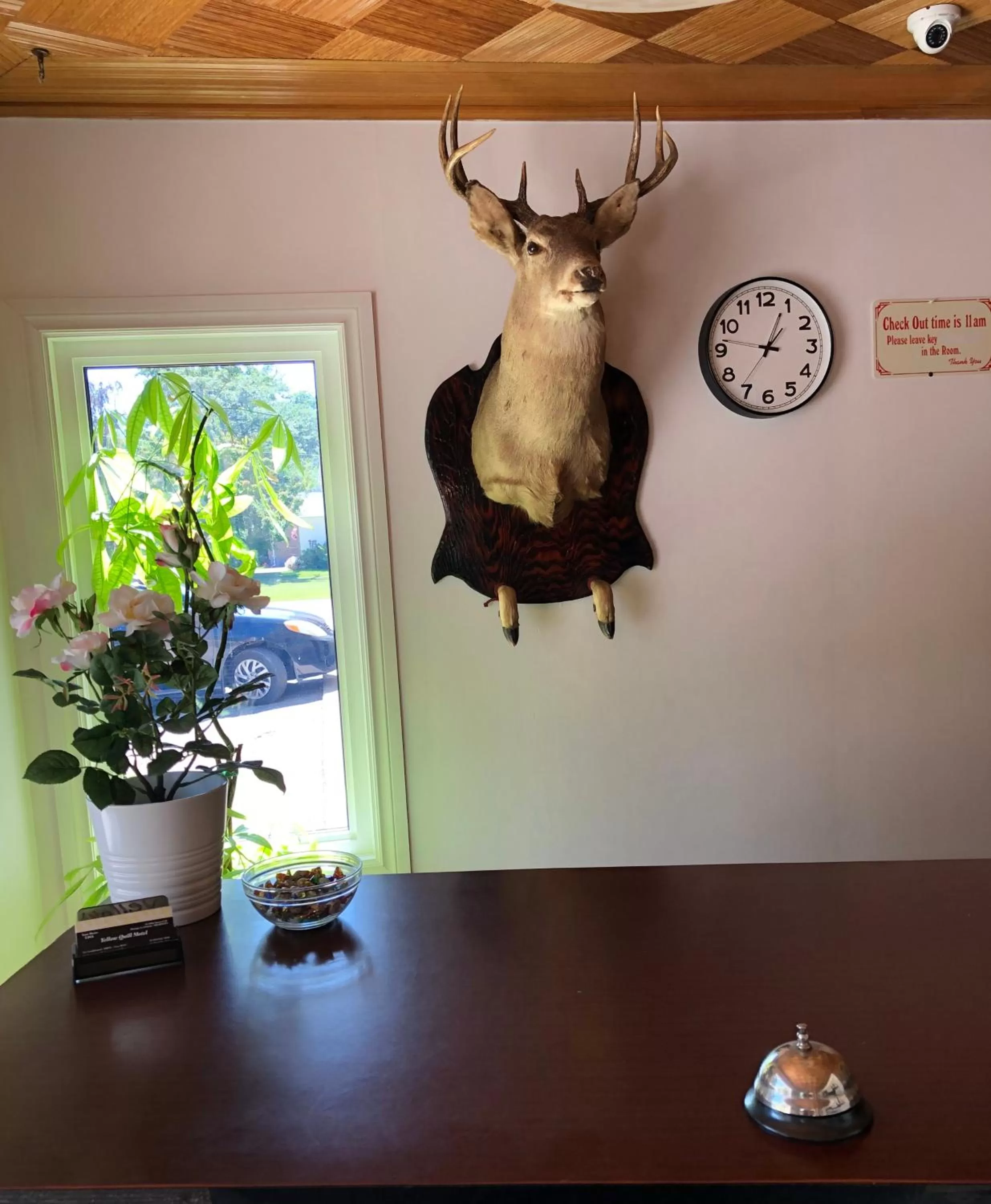 Property building in Yellow Quill Motel