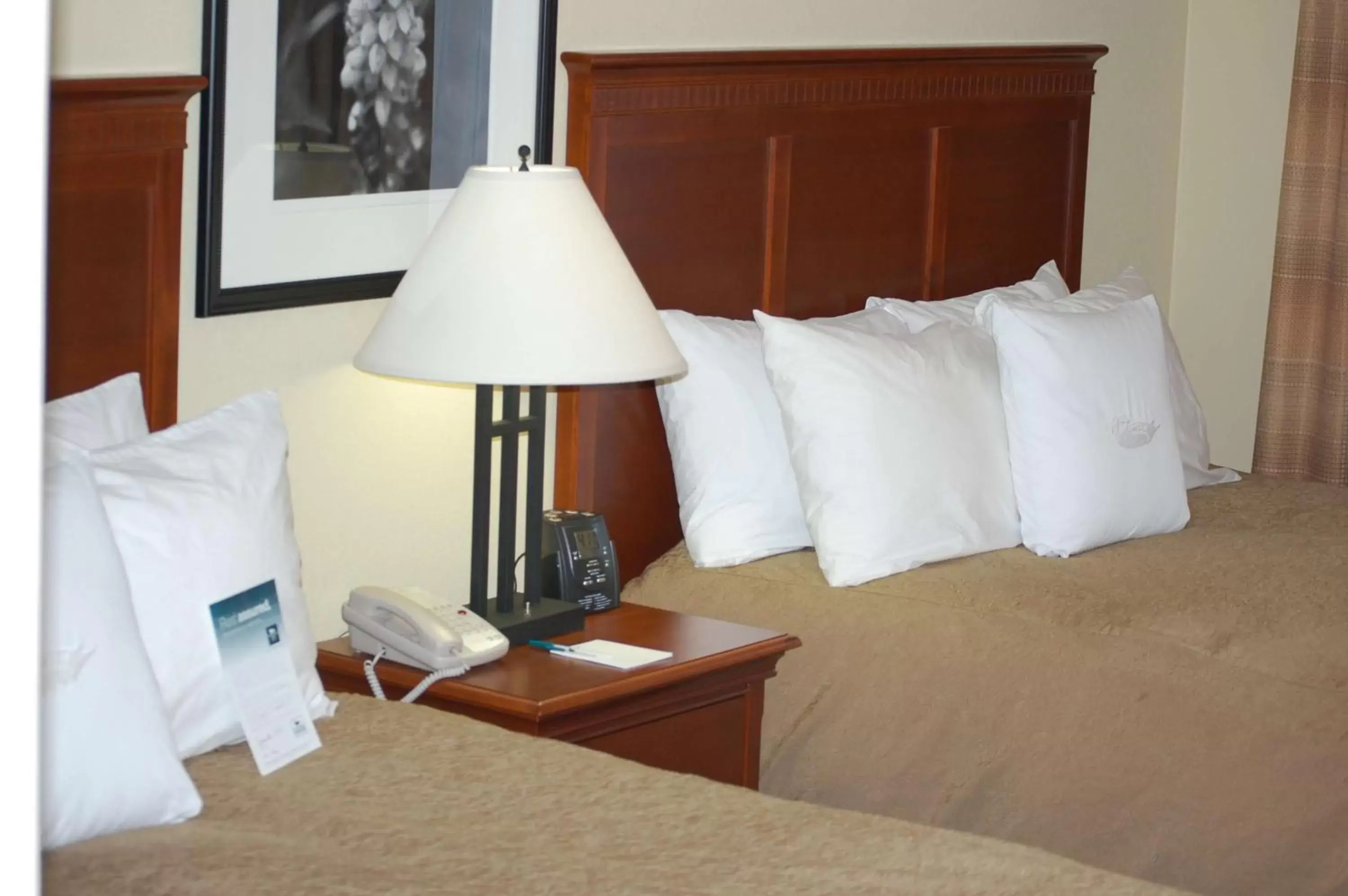 Bed in Homewood Suites by Hilton Denver - Littleton