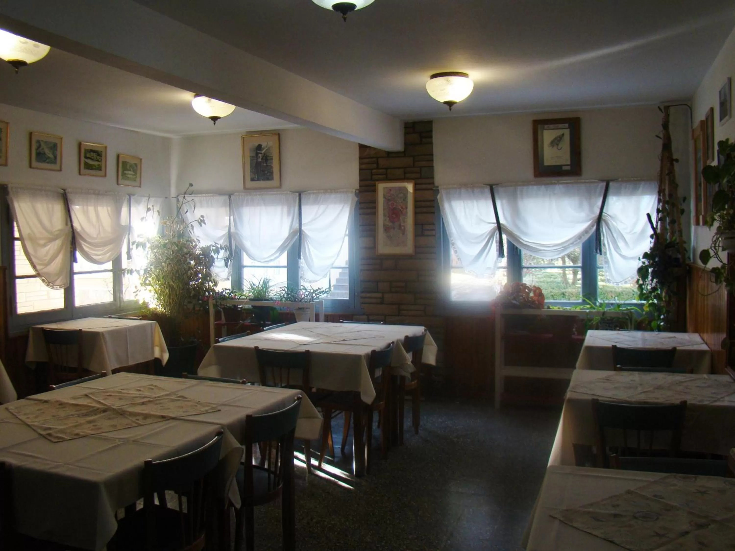 Restaurant/places to eat in Hostería Chimehuin