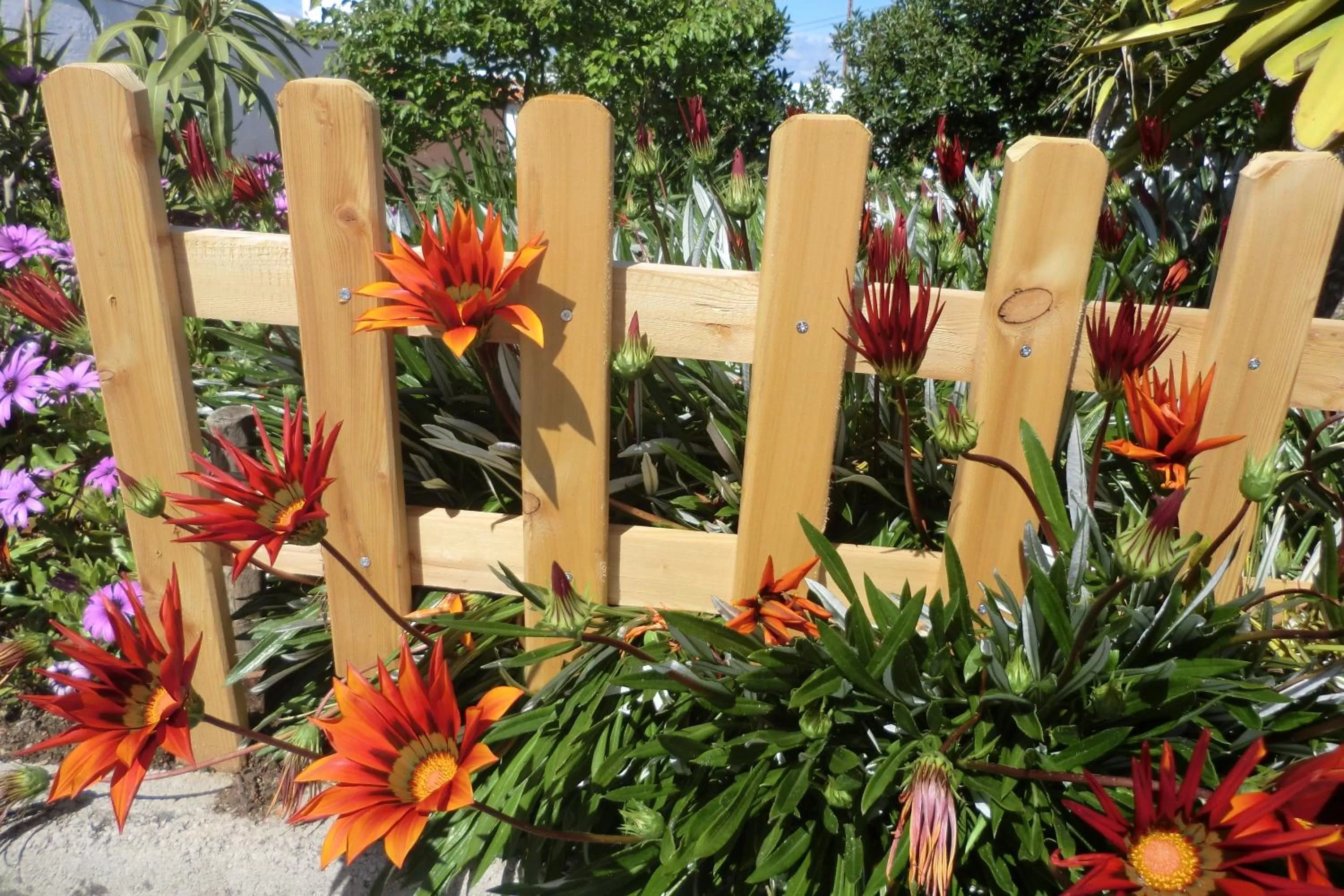 Garden in Varandas de Alter Hotel & SPA