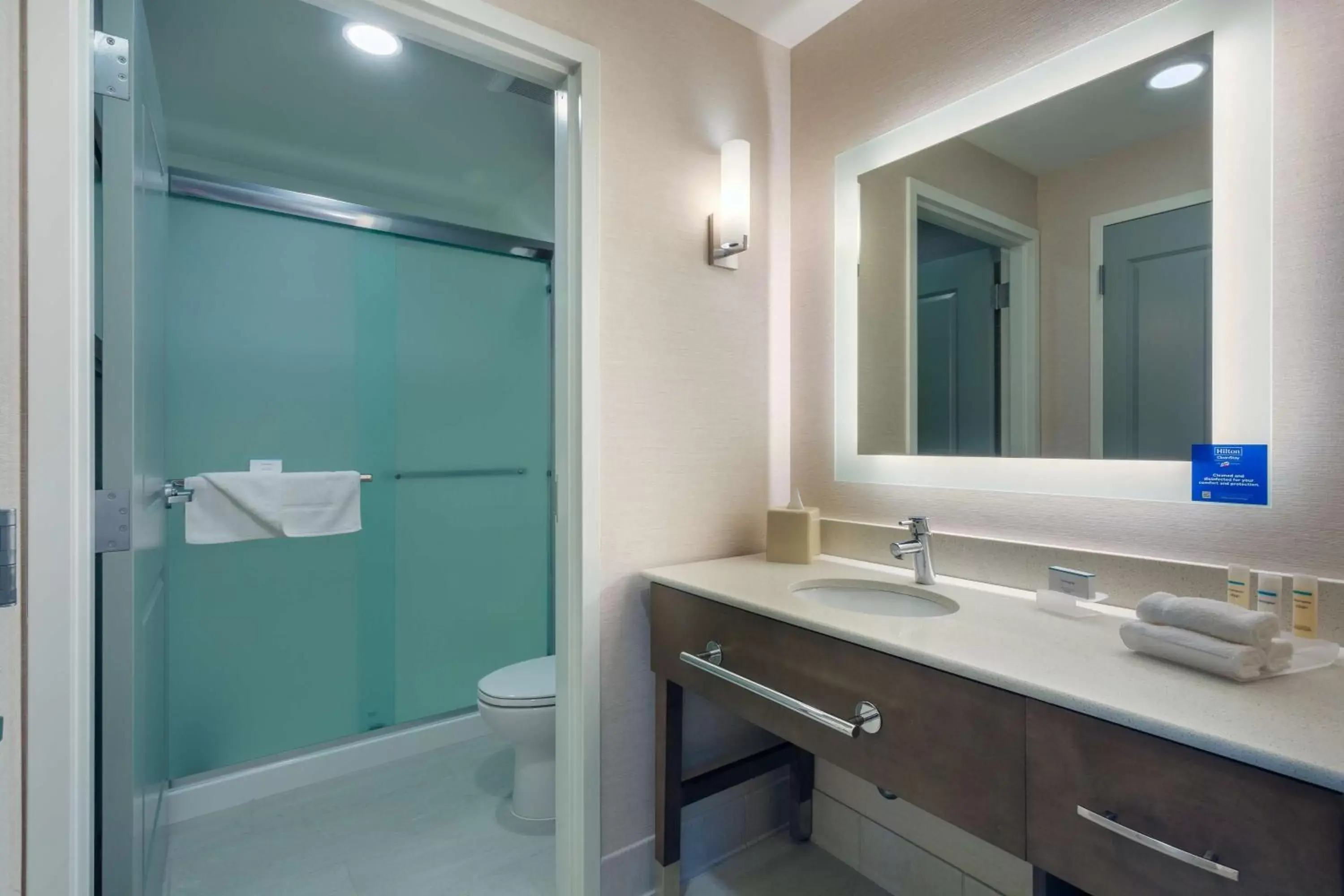 Bathroom in Homewood Suites By Hilton Reston, VA