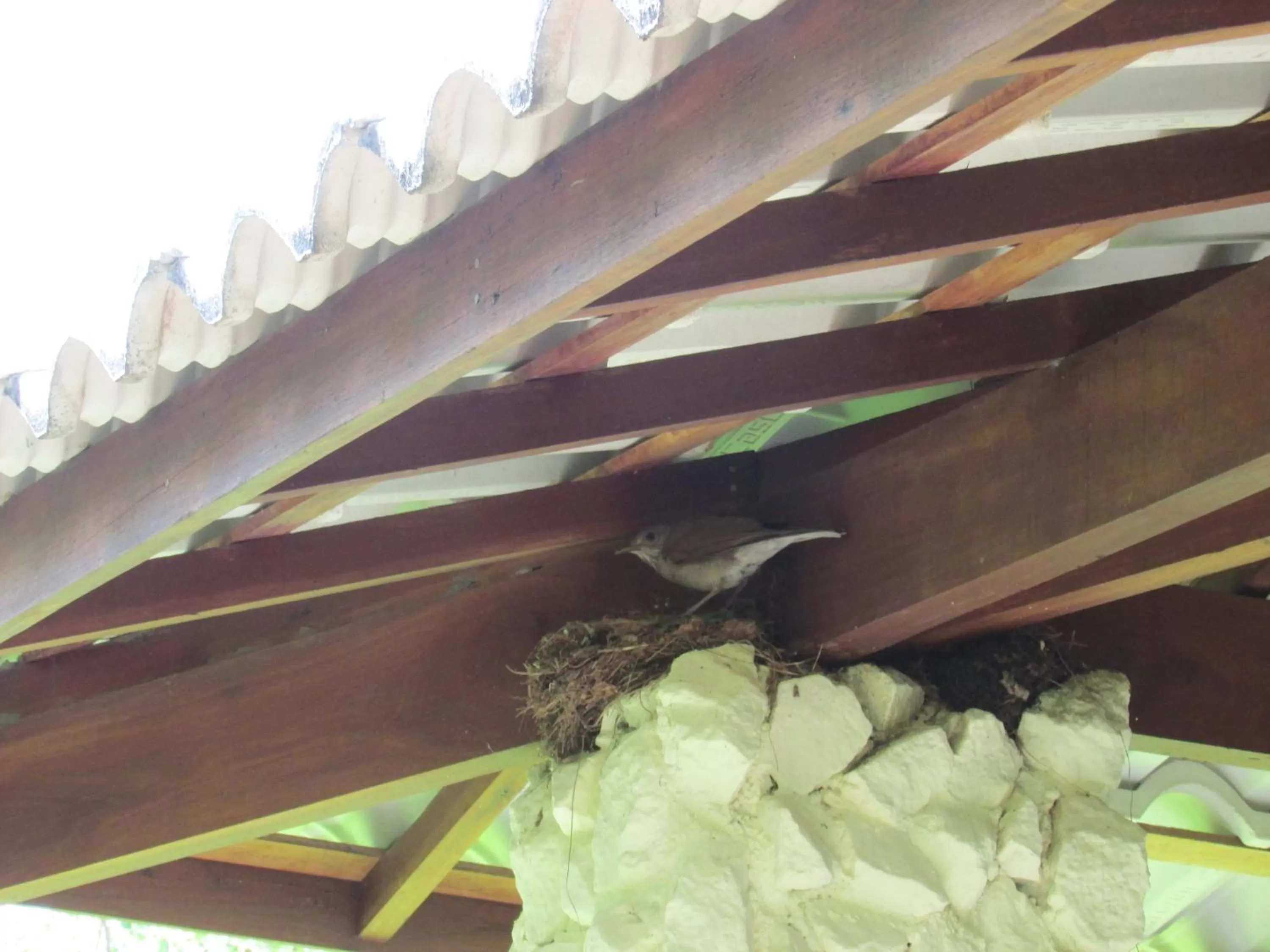 Balcony/Terrace in Pousada Ipitanga IV