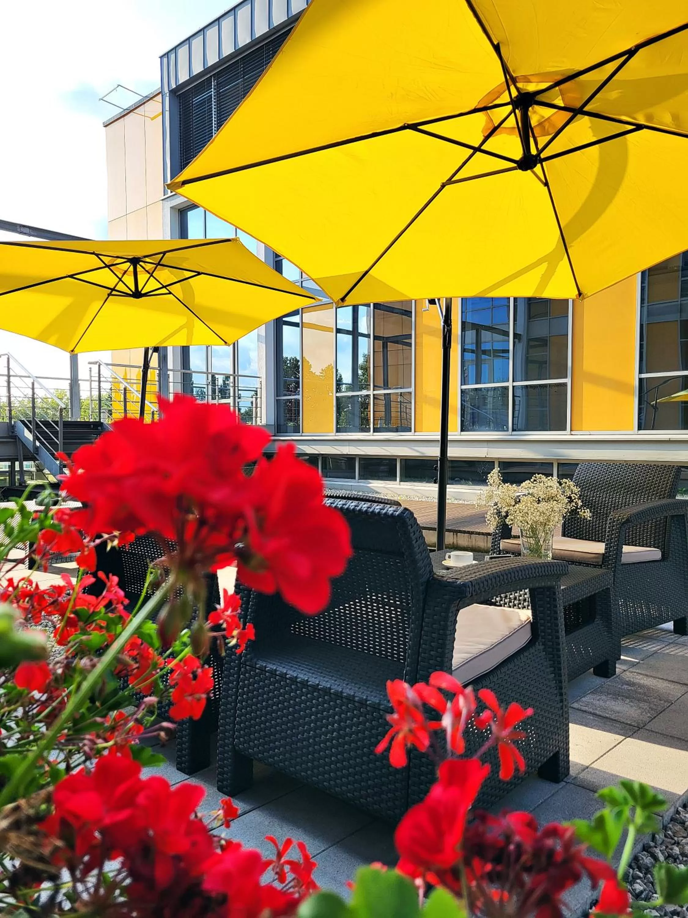 Patio in Hotel Forza