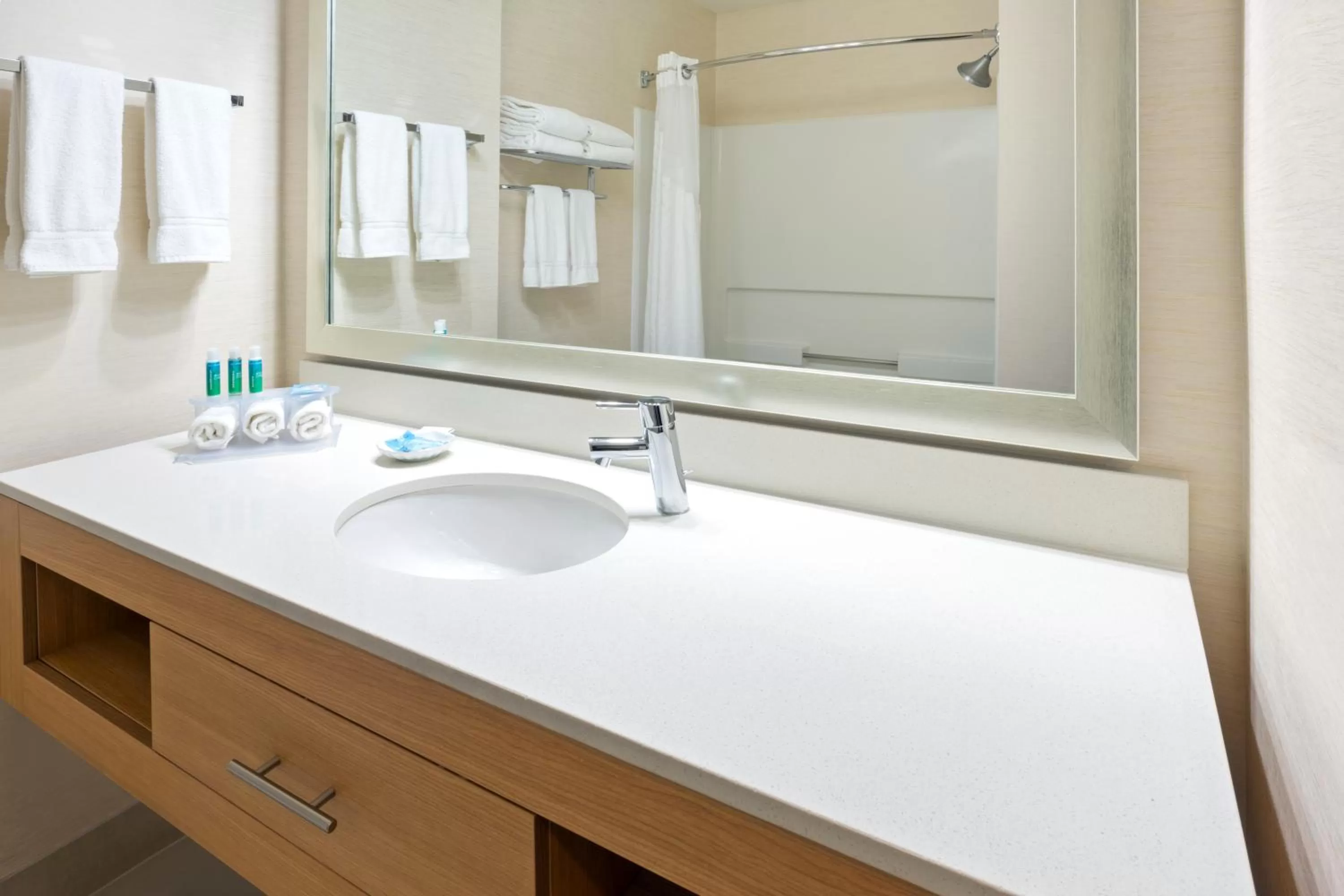 Toilet in Holiday Inn Express Hotel and Suites - Henderson by IHG