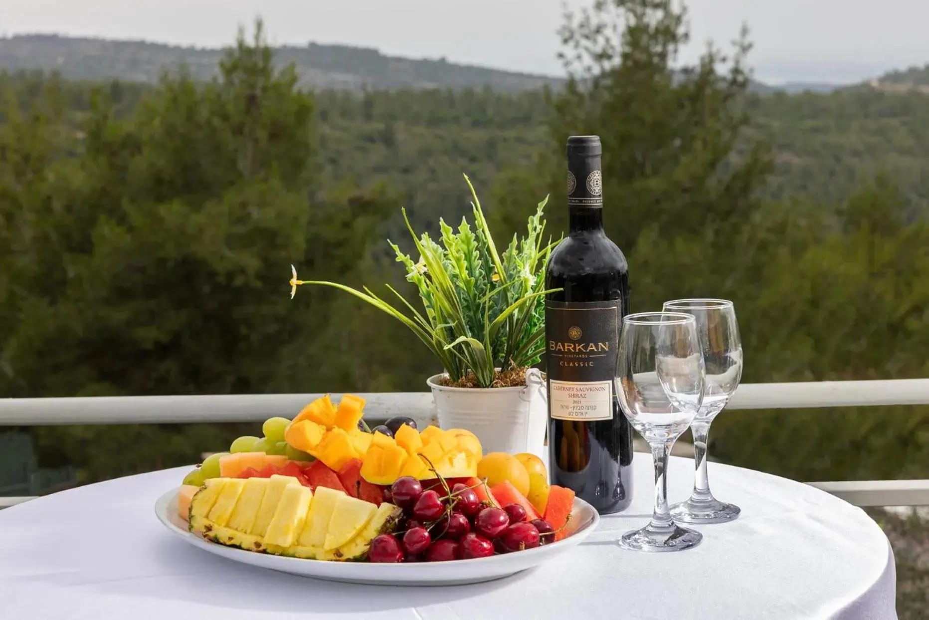 Balcony/Terrace in C Hotel Neve Ilan