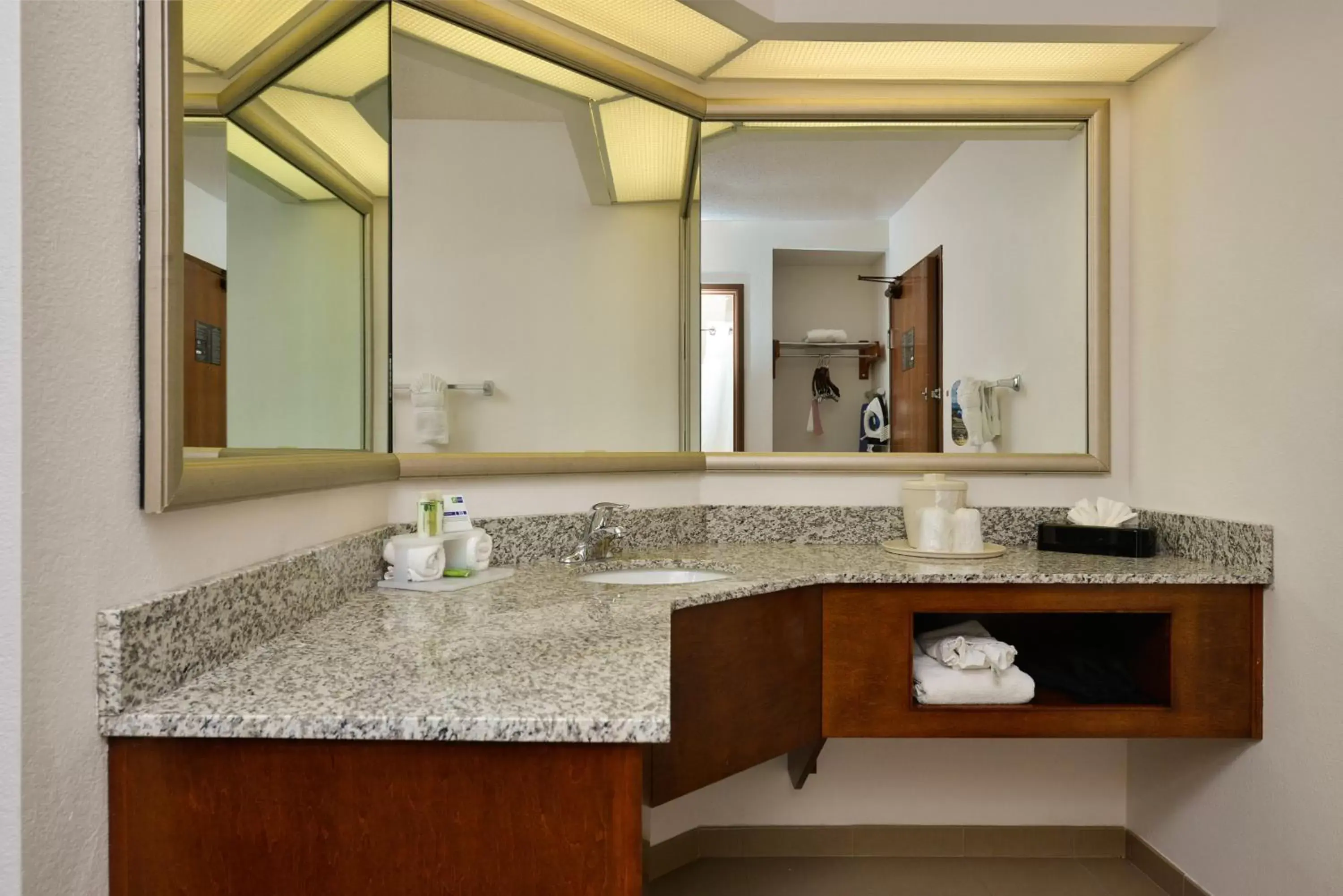 Photo of the whole room, Bathroom in Holiday Inn Express Boston/Milford Hotel, an IHG Hotel