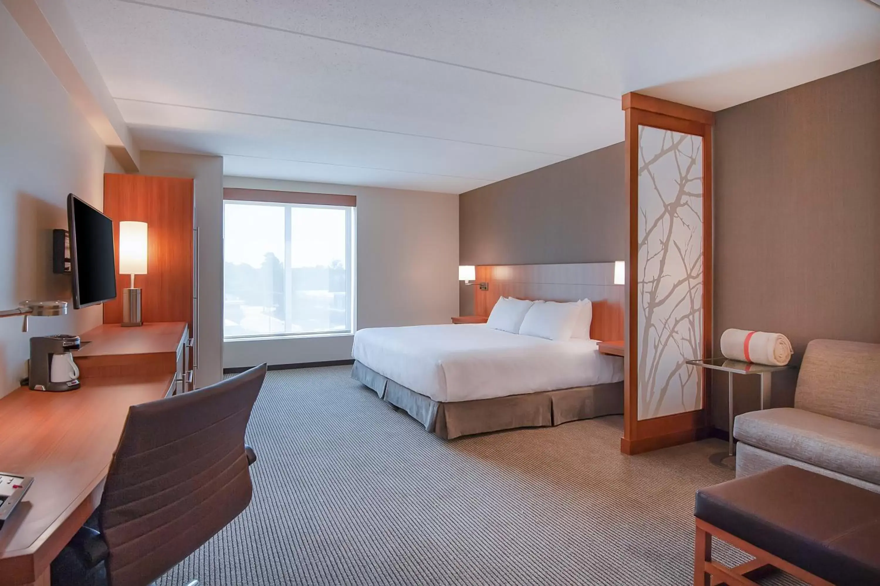 King Room with Sofa Bed in Hyatt Place Durham Southpoint King Room with Sofa Bed in Hyatt Place Durham Southpoint