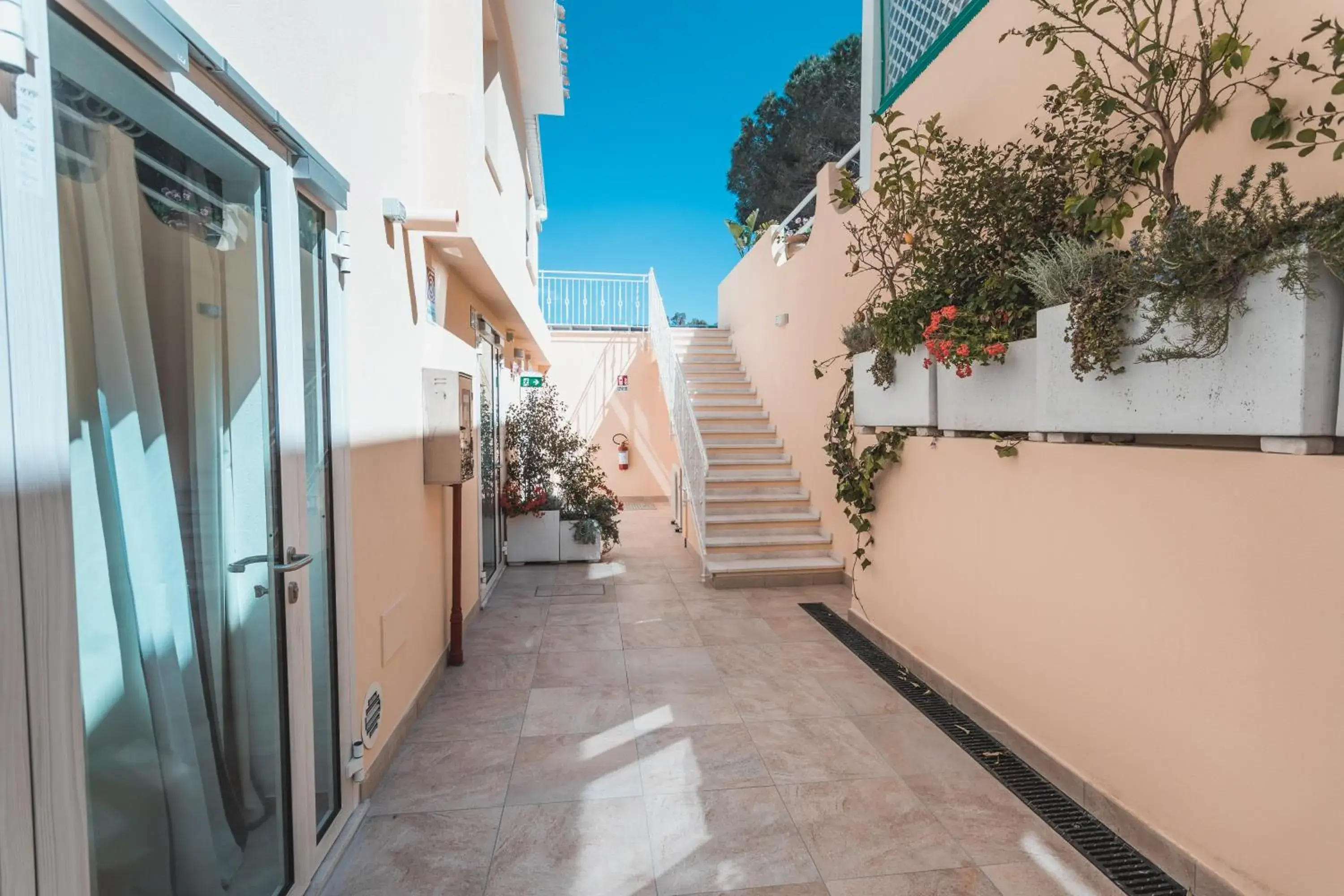 Facade/entrance in Hotel Fiore Di Maggio