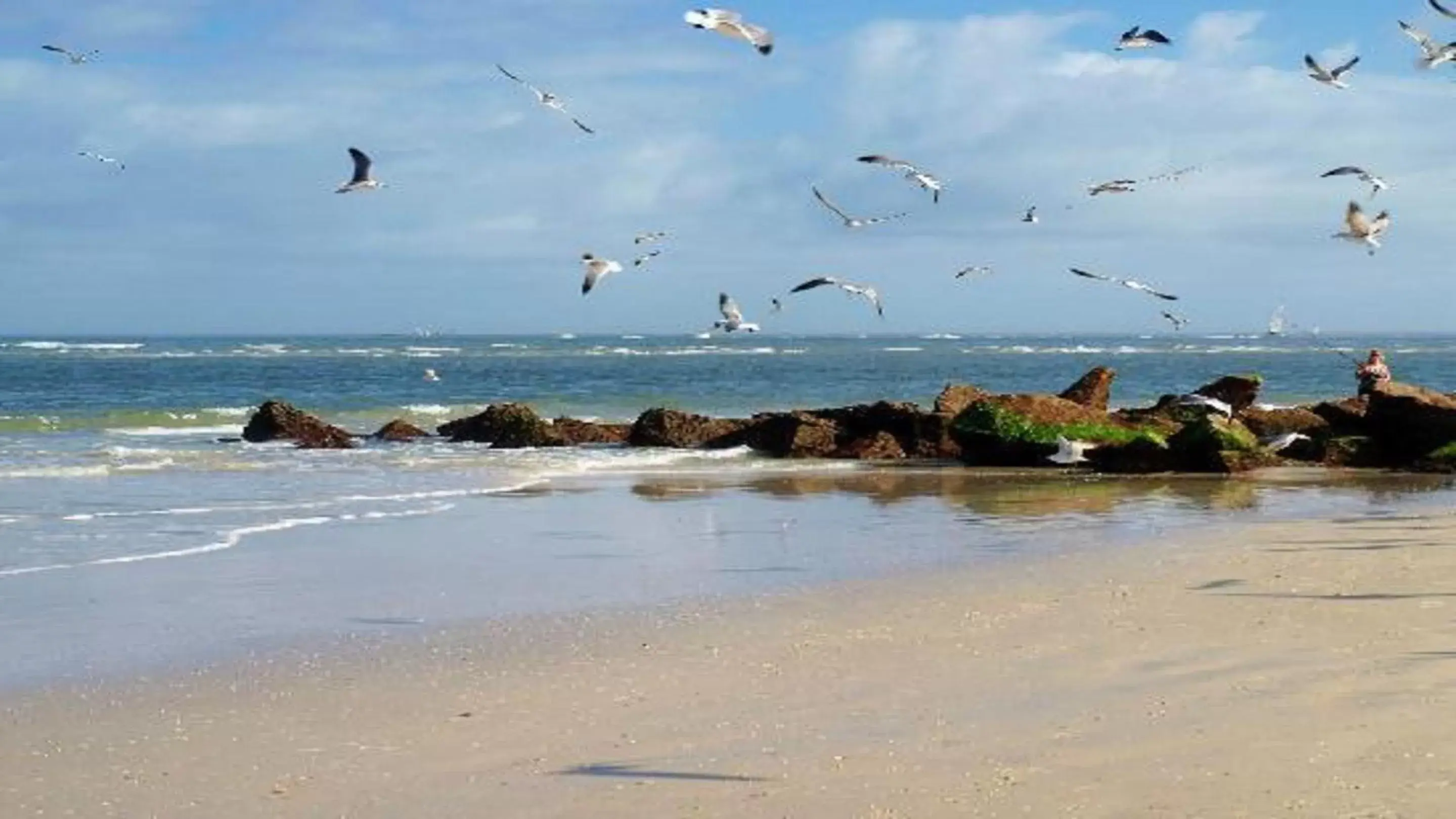 Spring, Beach in The Saint Augustine Beach House