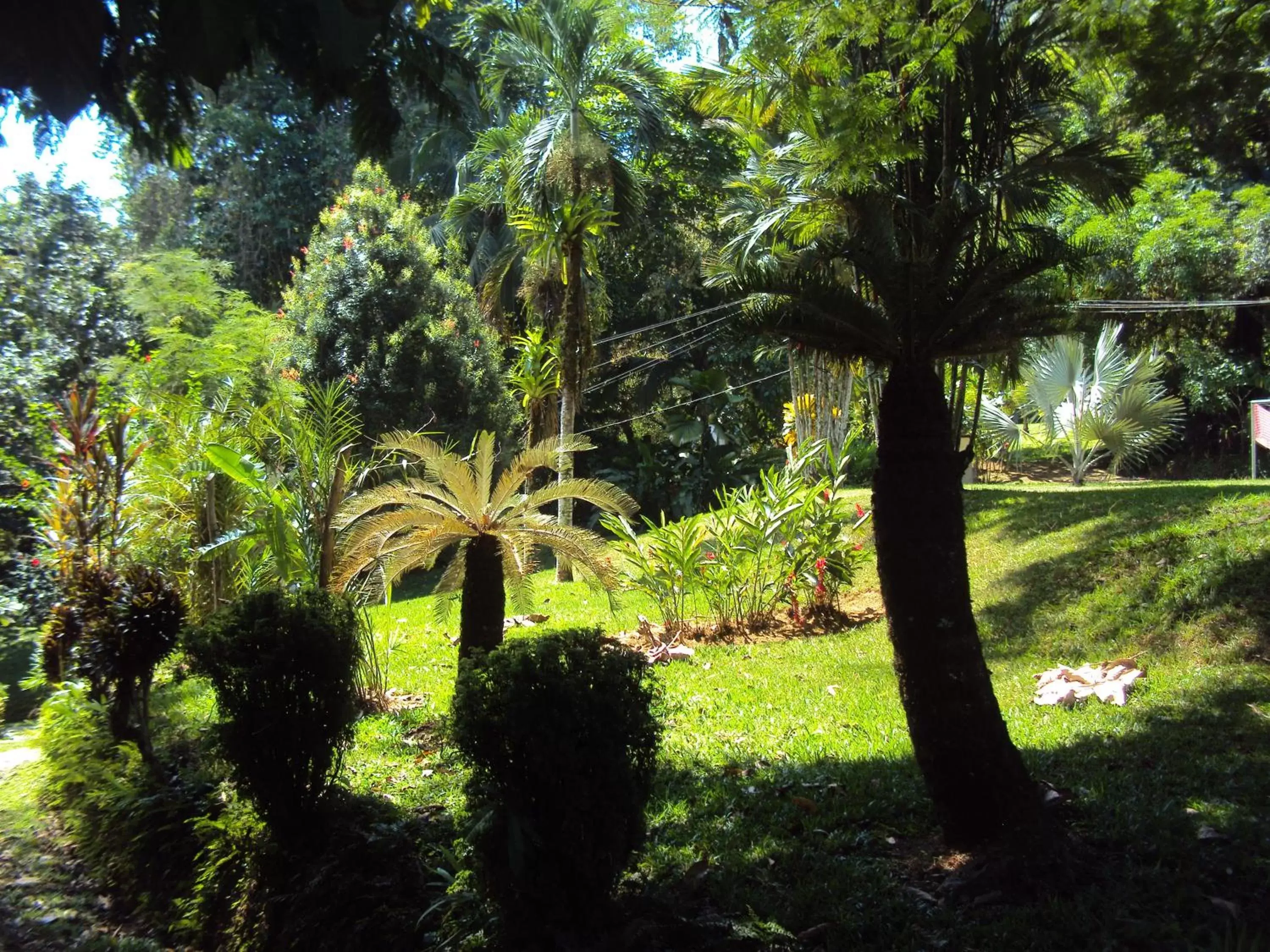 Natural landscape, Garden in La Purruja Lodge