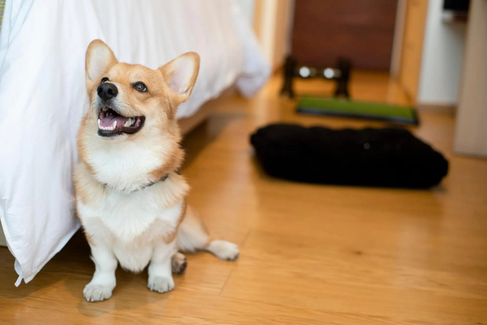 Lobby or reception in voco Guadalajara Neruda by IHG