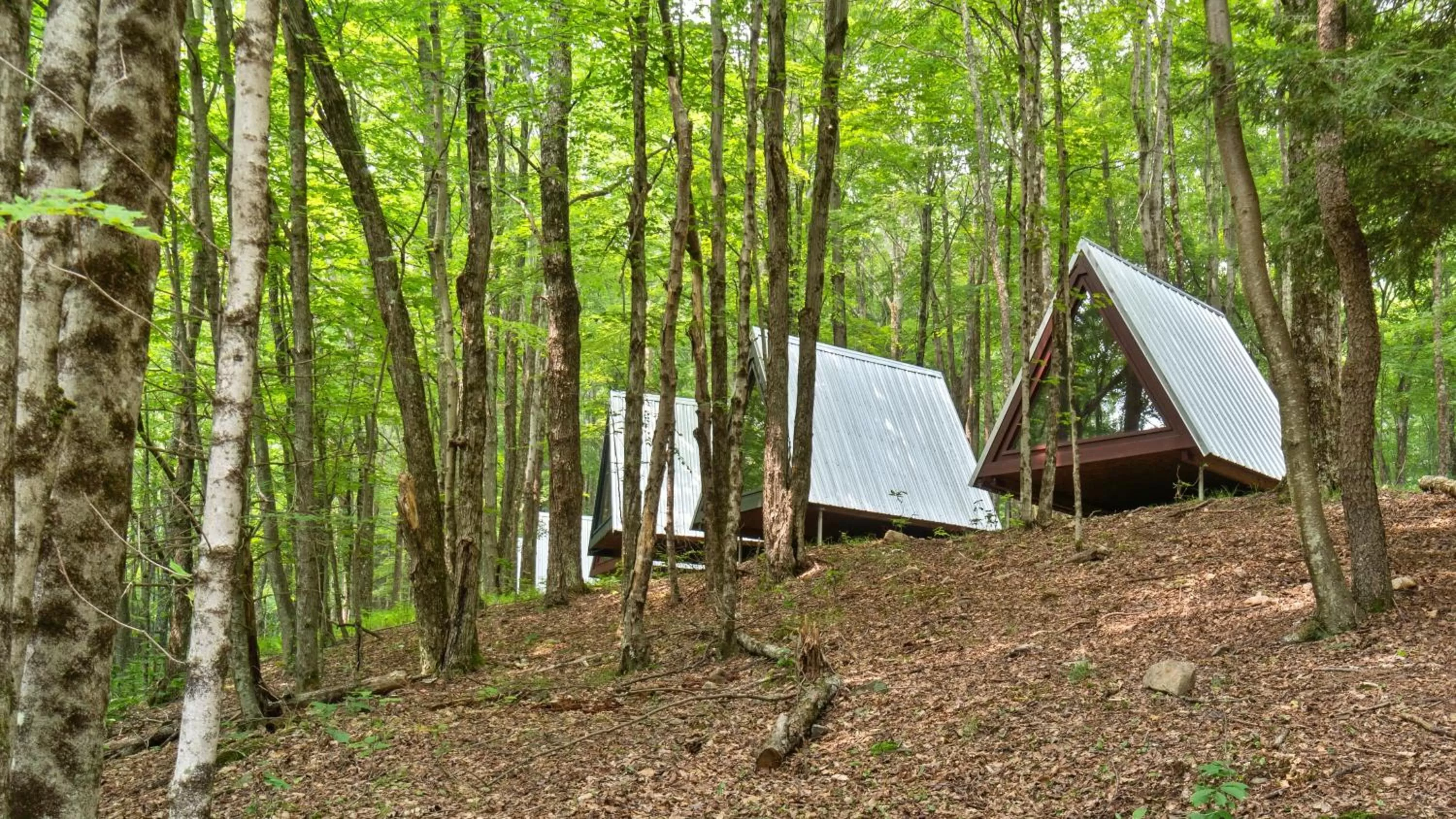 Day in Callicoon Hills