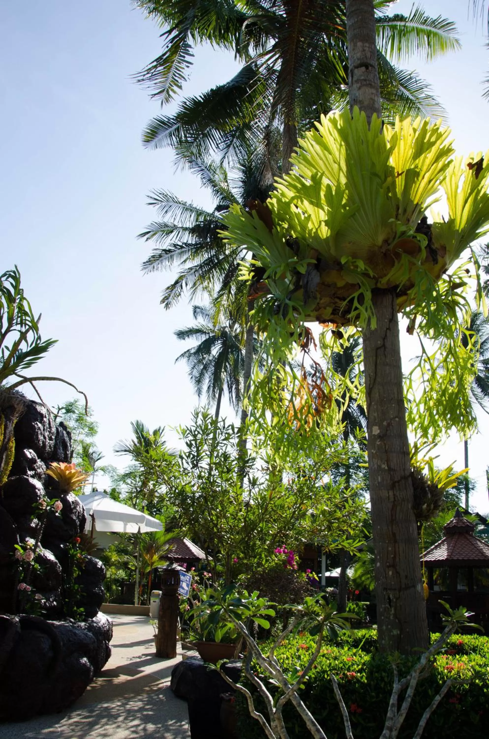 Property building in Jungle Village Bungalow