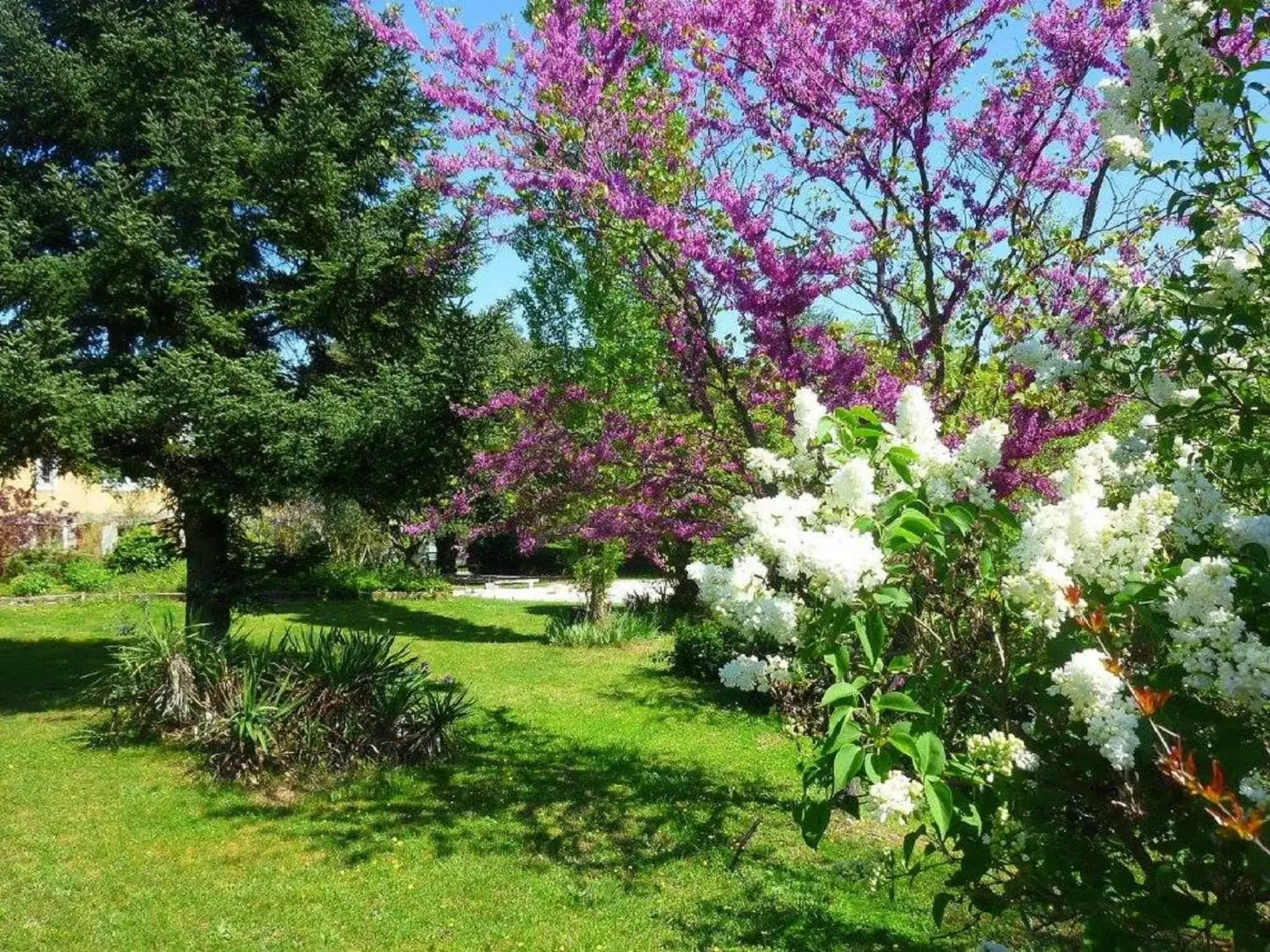 Natural landscape, Garden in Le Fer en Cèze