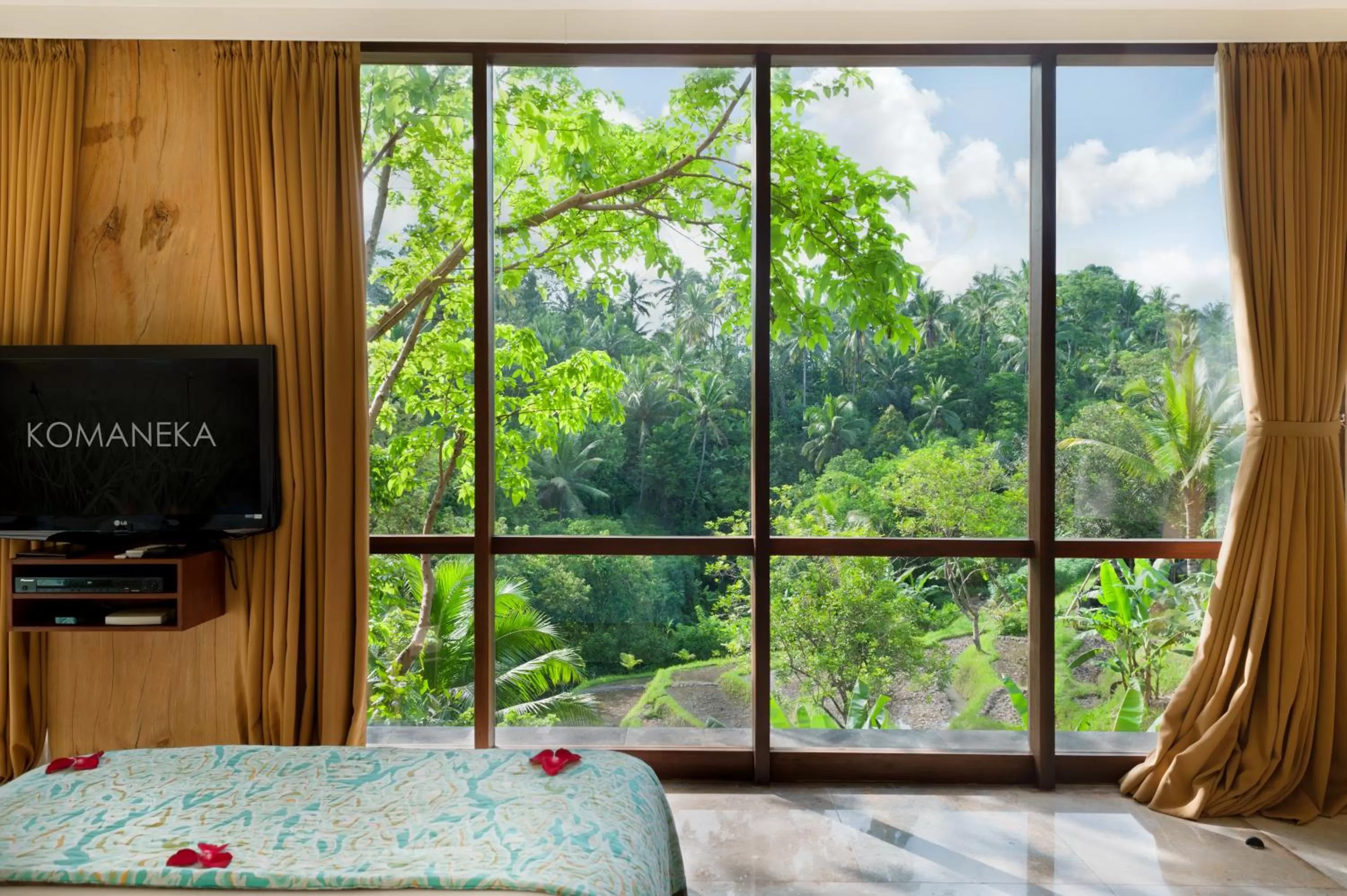 TV and multimedia in Komaneka at Bisma Ubud