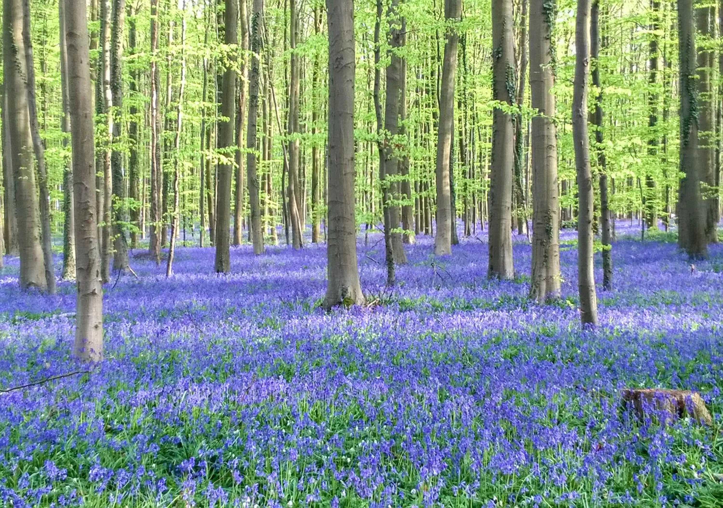 Nearby landmark in B&B Plattestien