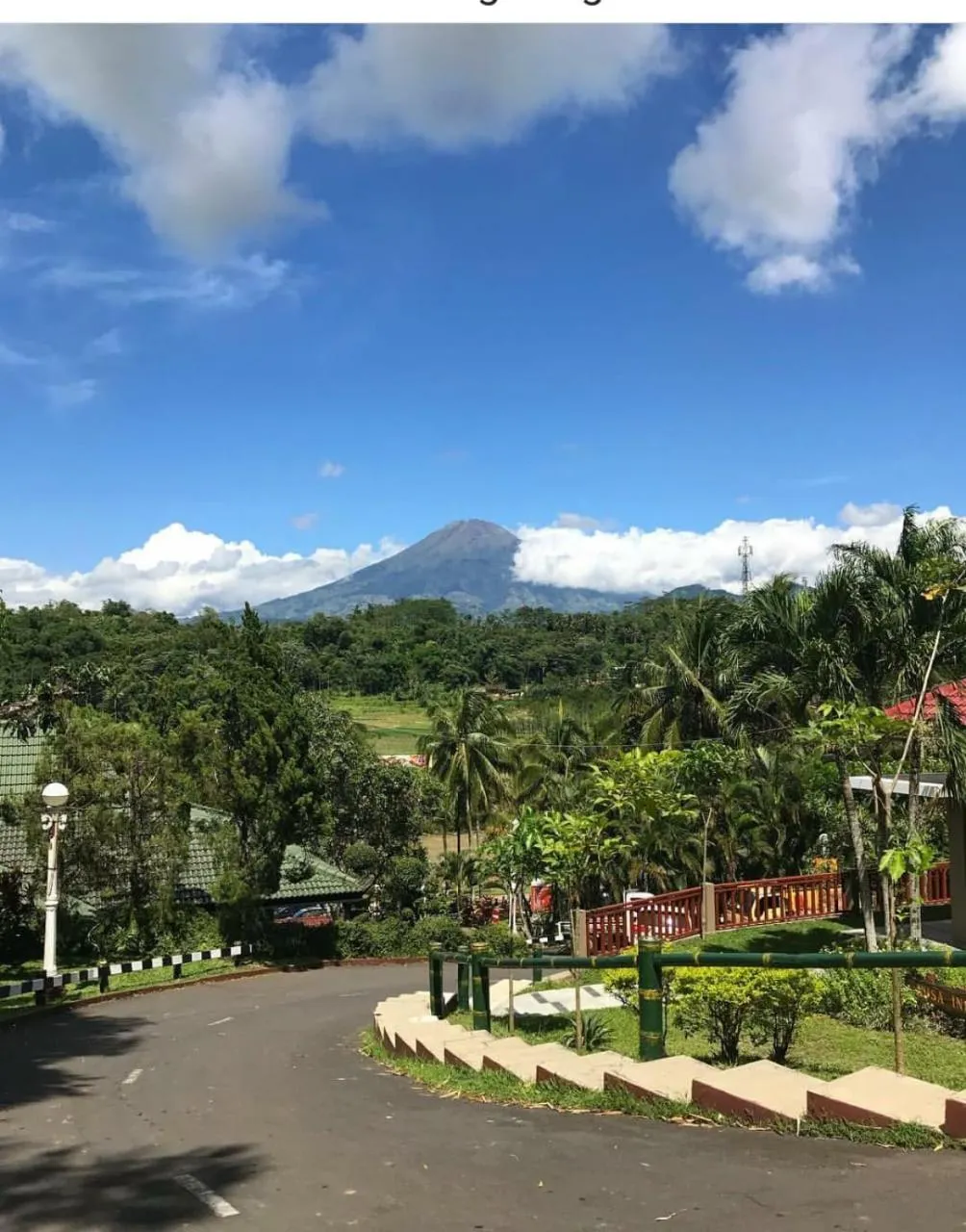 Garden view in Puri Asri Hotel & Resort