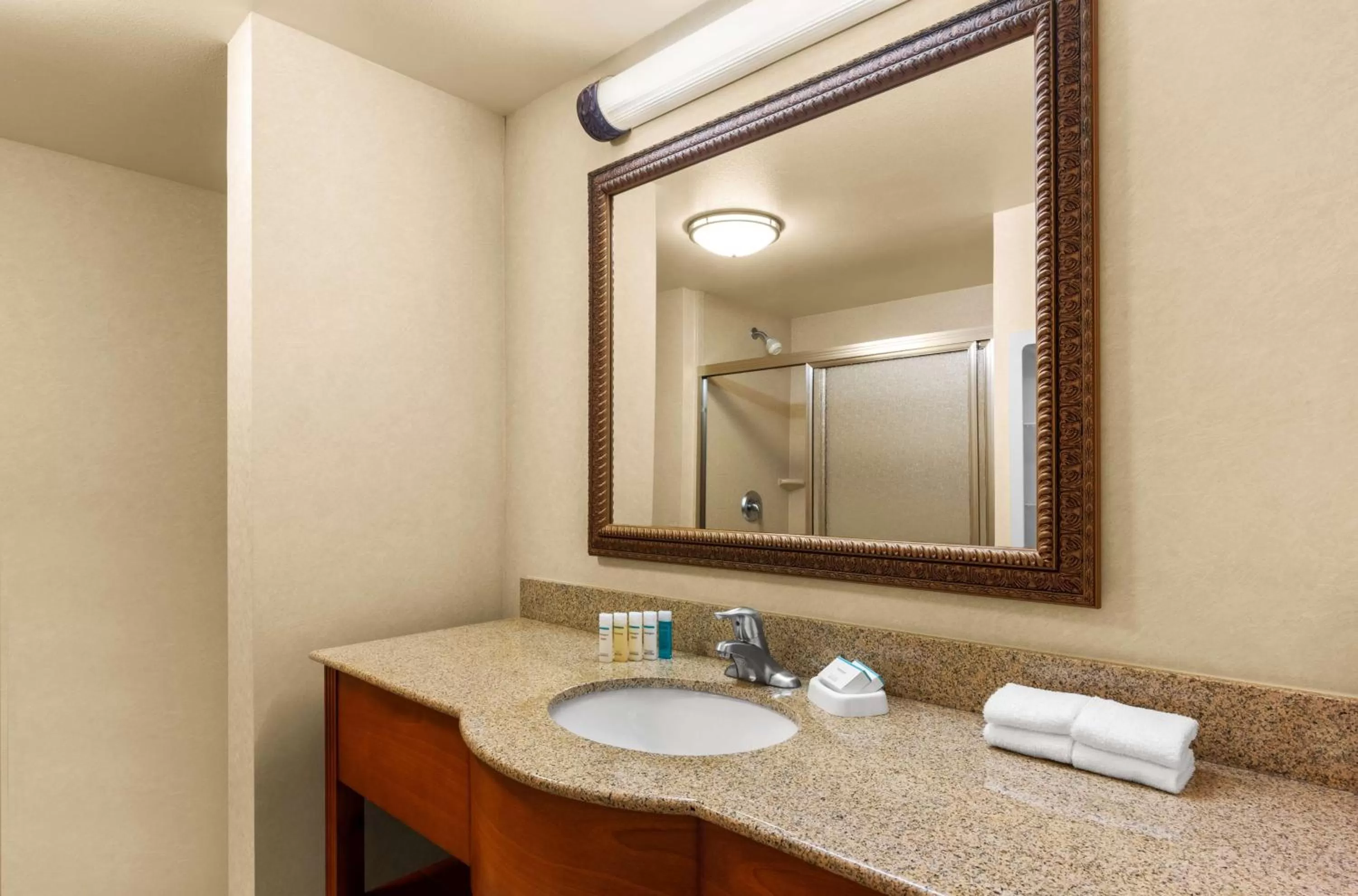 Bathroom in Hampton Inn & Suites Burlington
