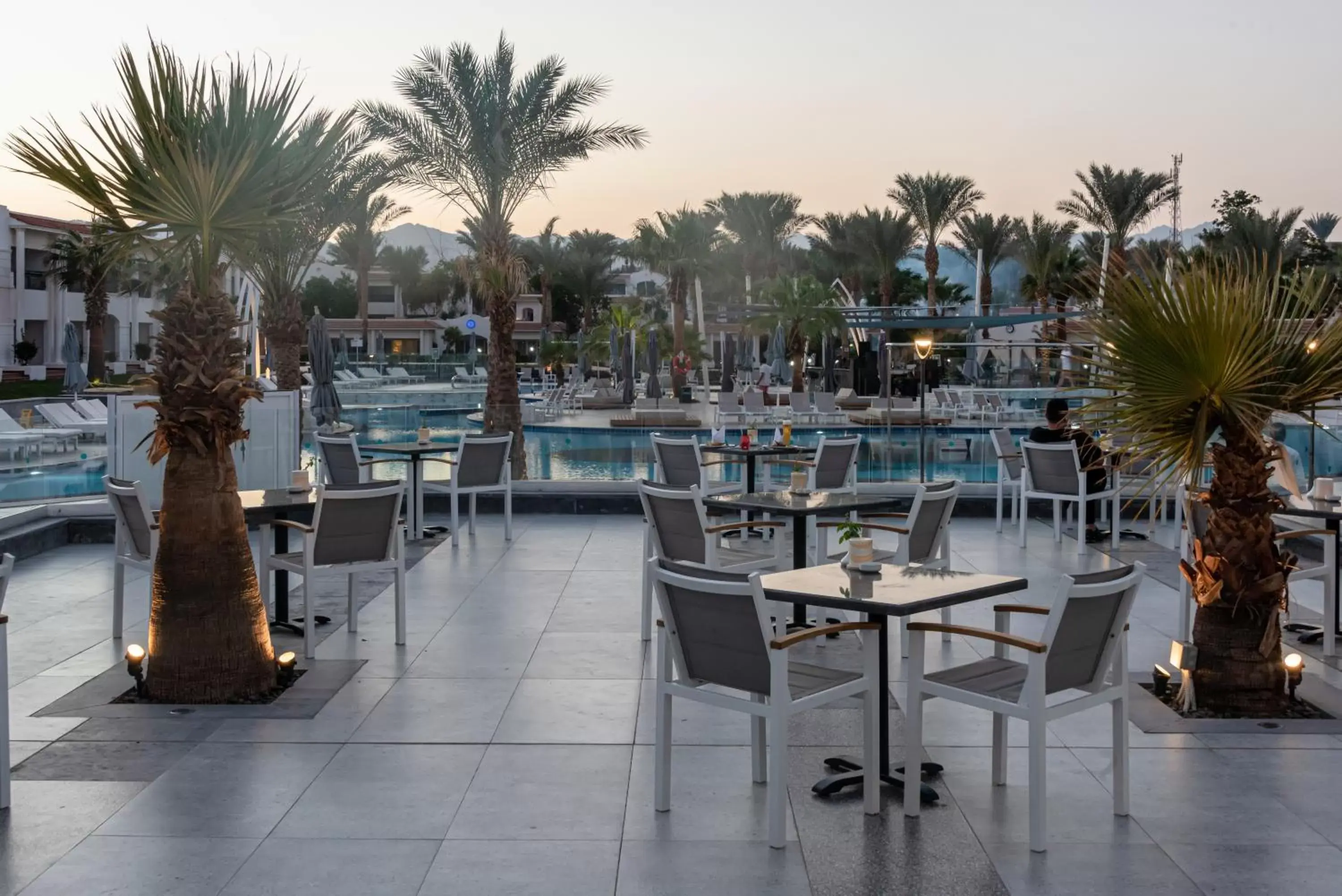 Restaurant/Places to Eat in Sharm Dreams Resort - by Jaz Hotel Group