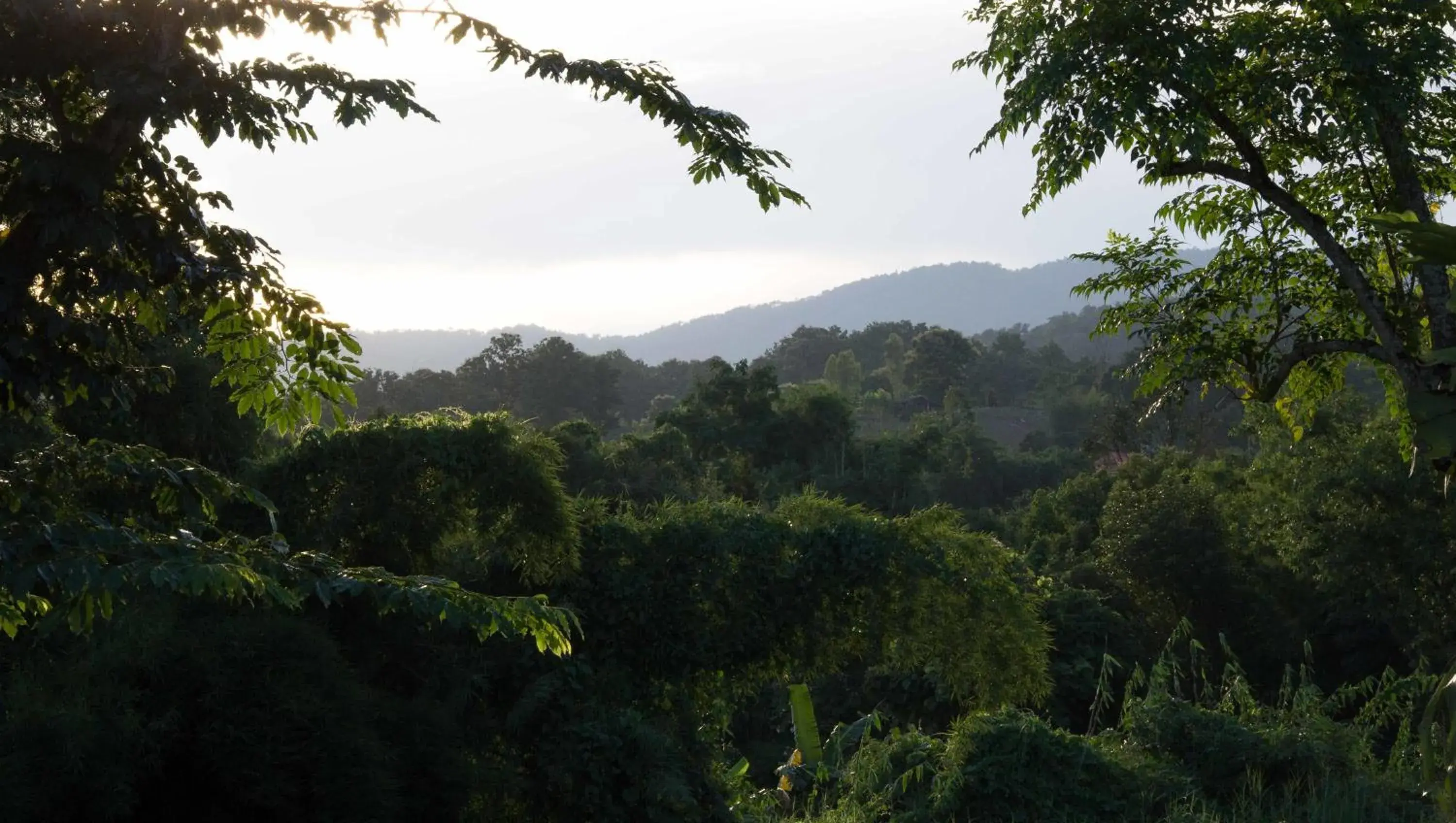 Bird's eye view, Natural Landscape in Bambuh Boutique Homestay