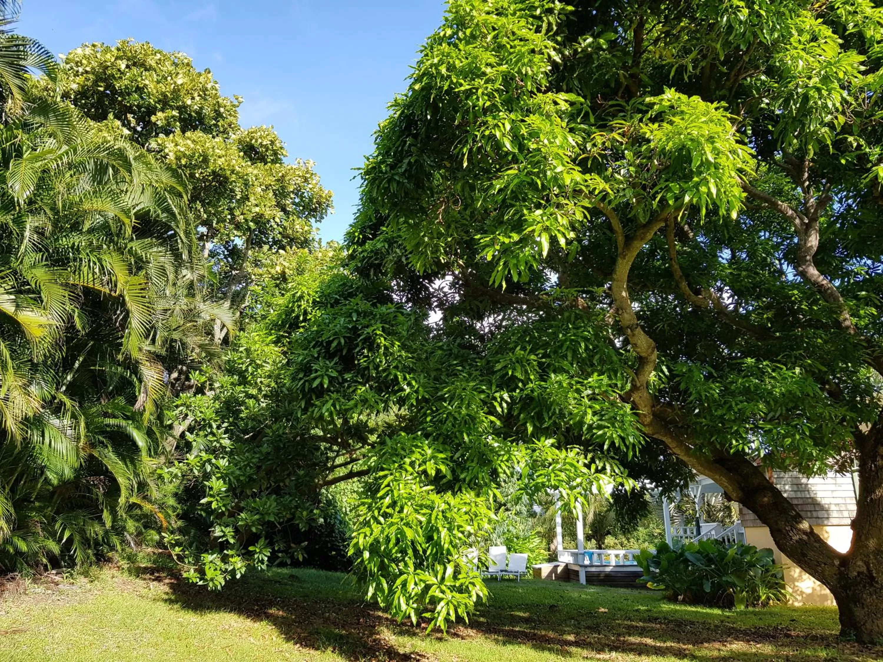 Habitation du Comté
