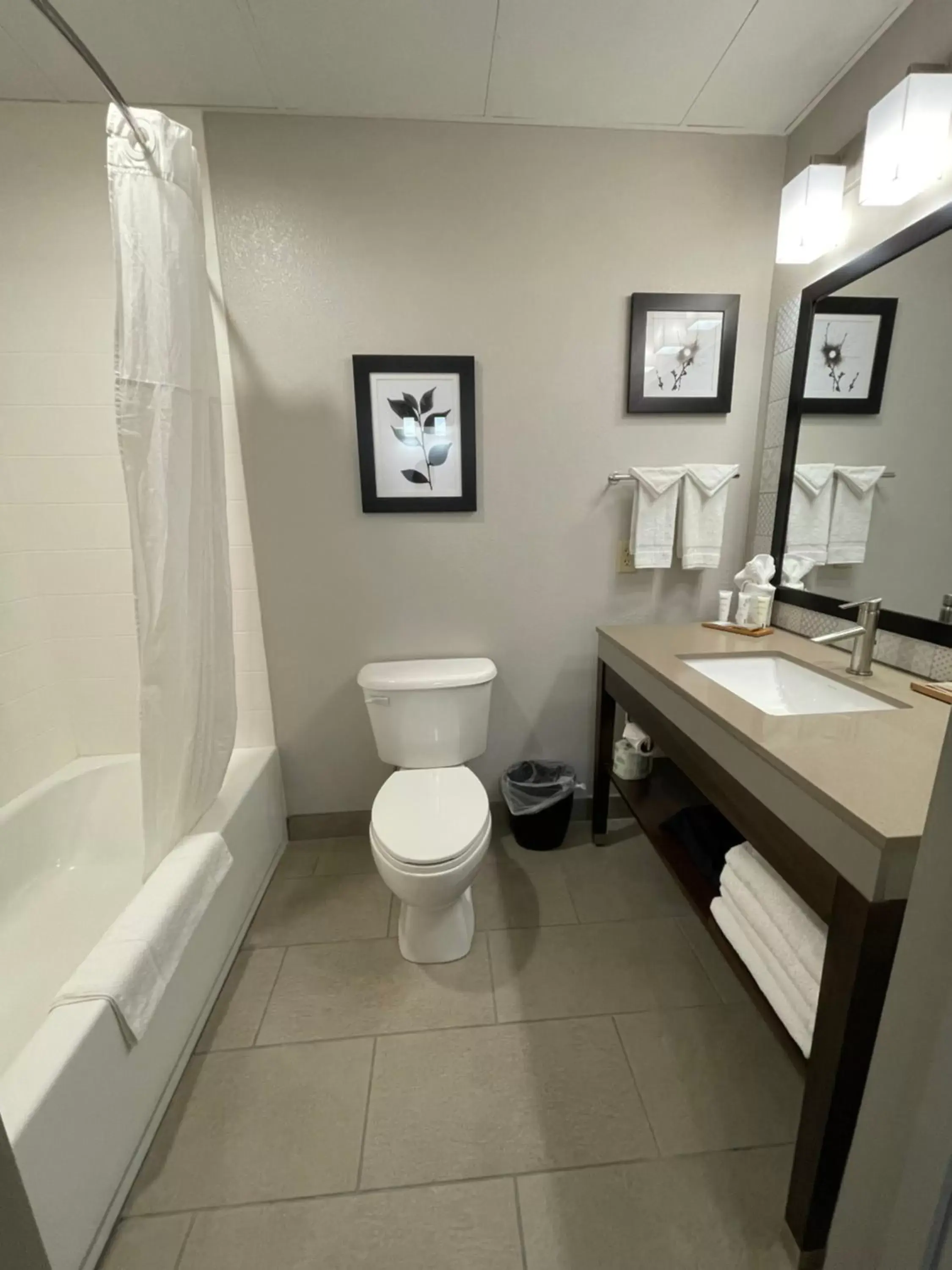 Bathroom in Country Inn & Suites by Radisson, Valdosta, GA - NEWLY RENOVATED