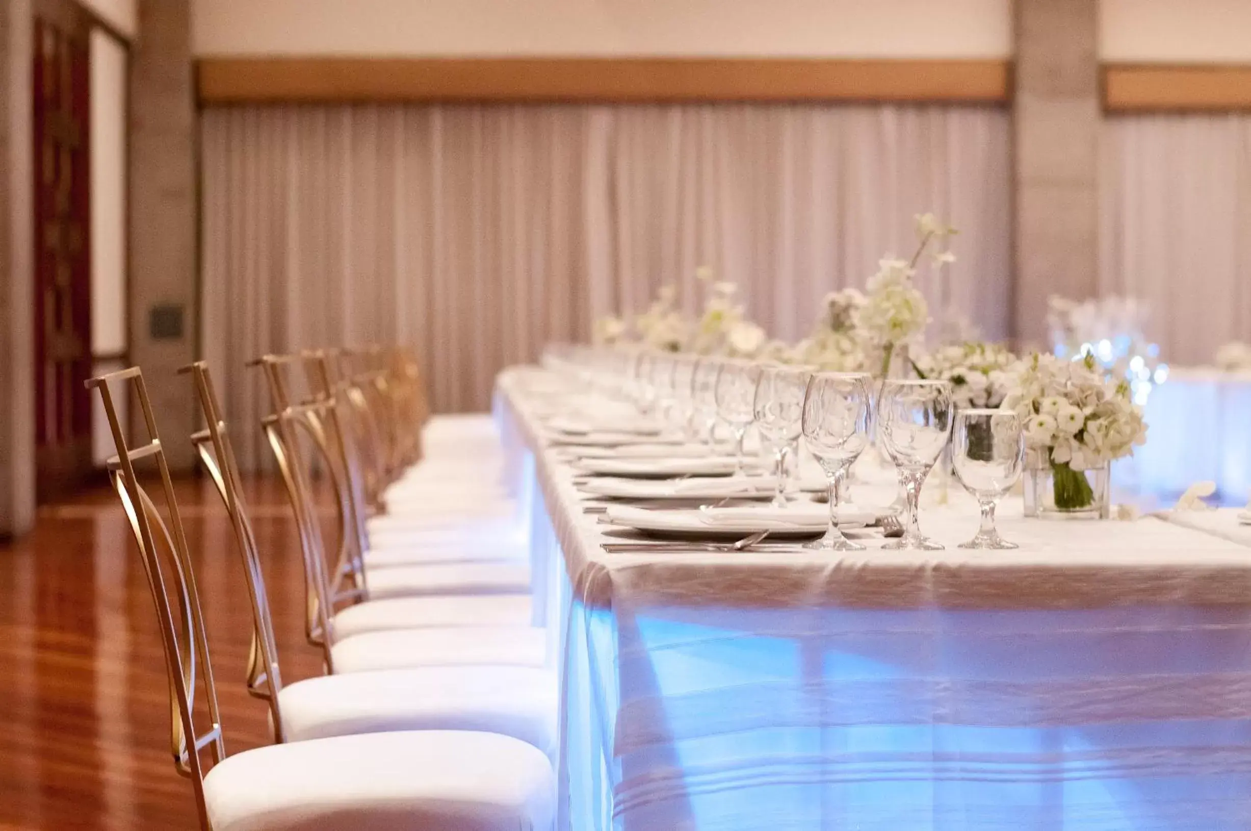 Meeting/conference room, Banquet Facilities in Radisson Hotel San Jose - Costa Rica