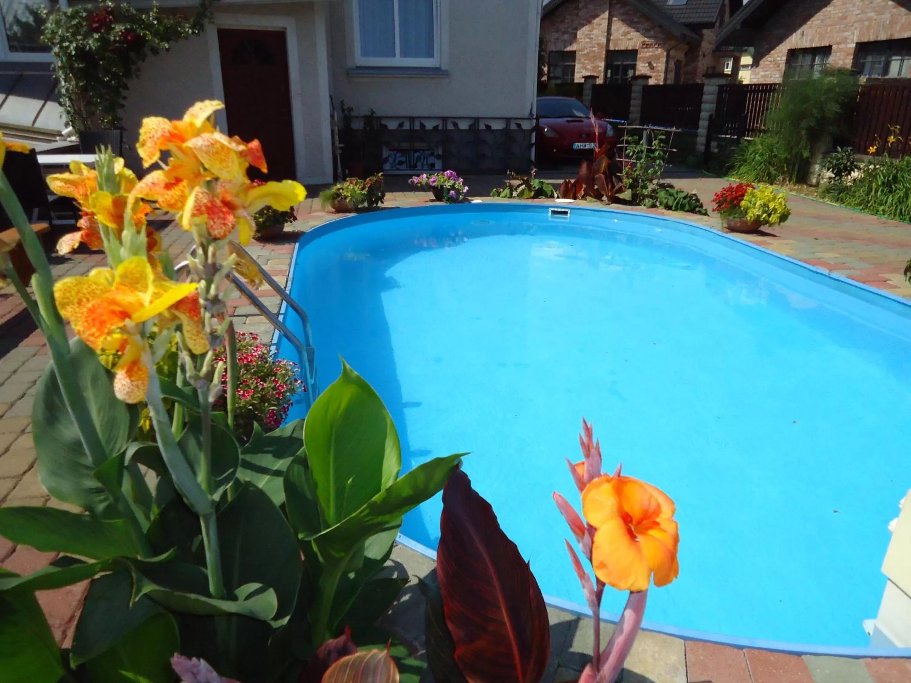 Area and facilities, Swimming Pool in Guest House Linas