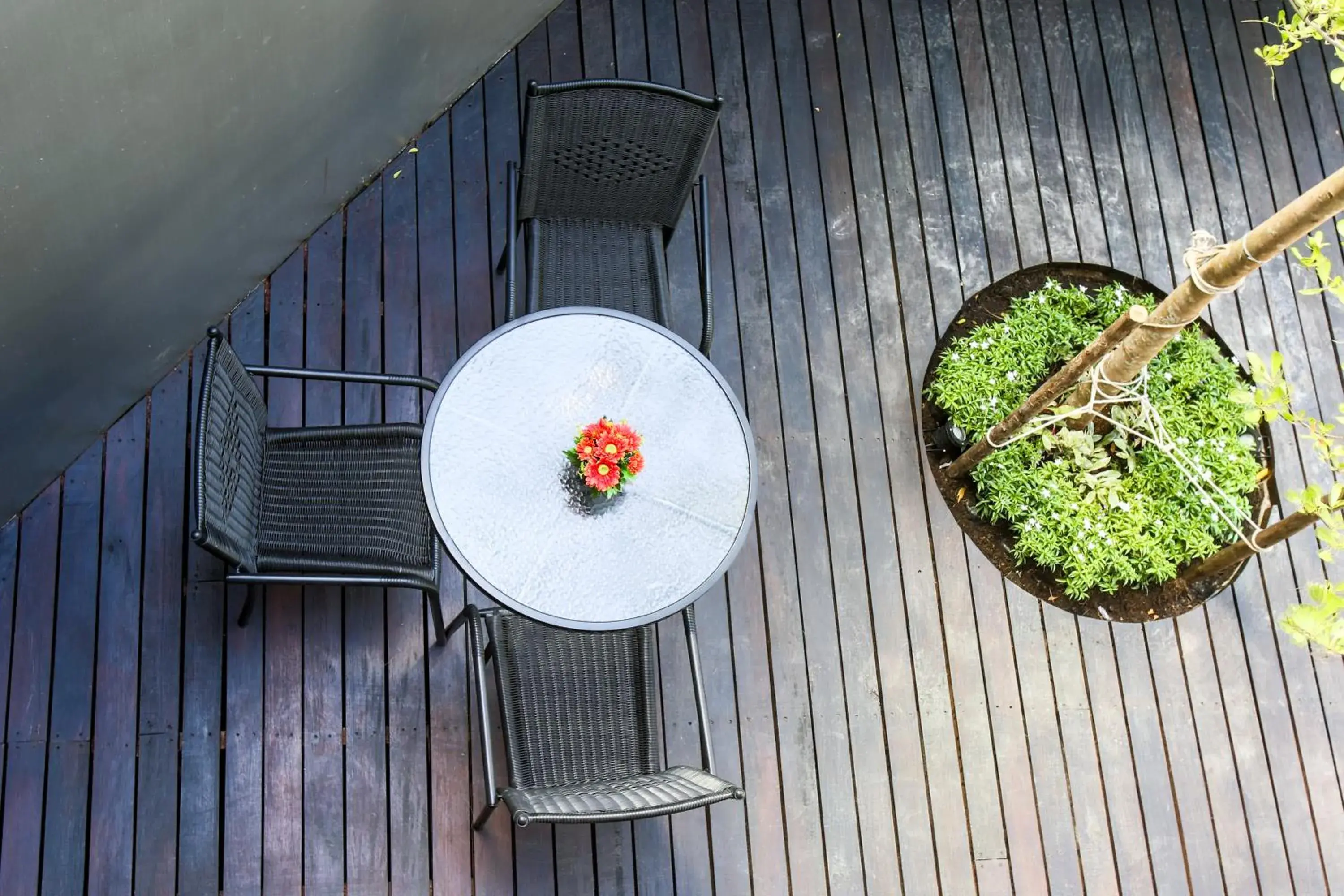 Balcony/Terrace in Cliff Lanta Suite-Koh Lanta Krabi