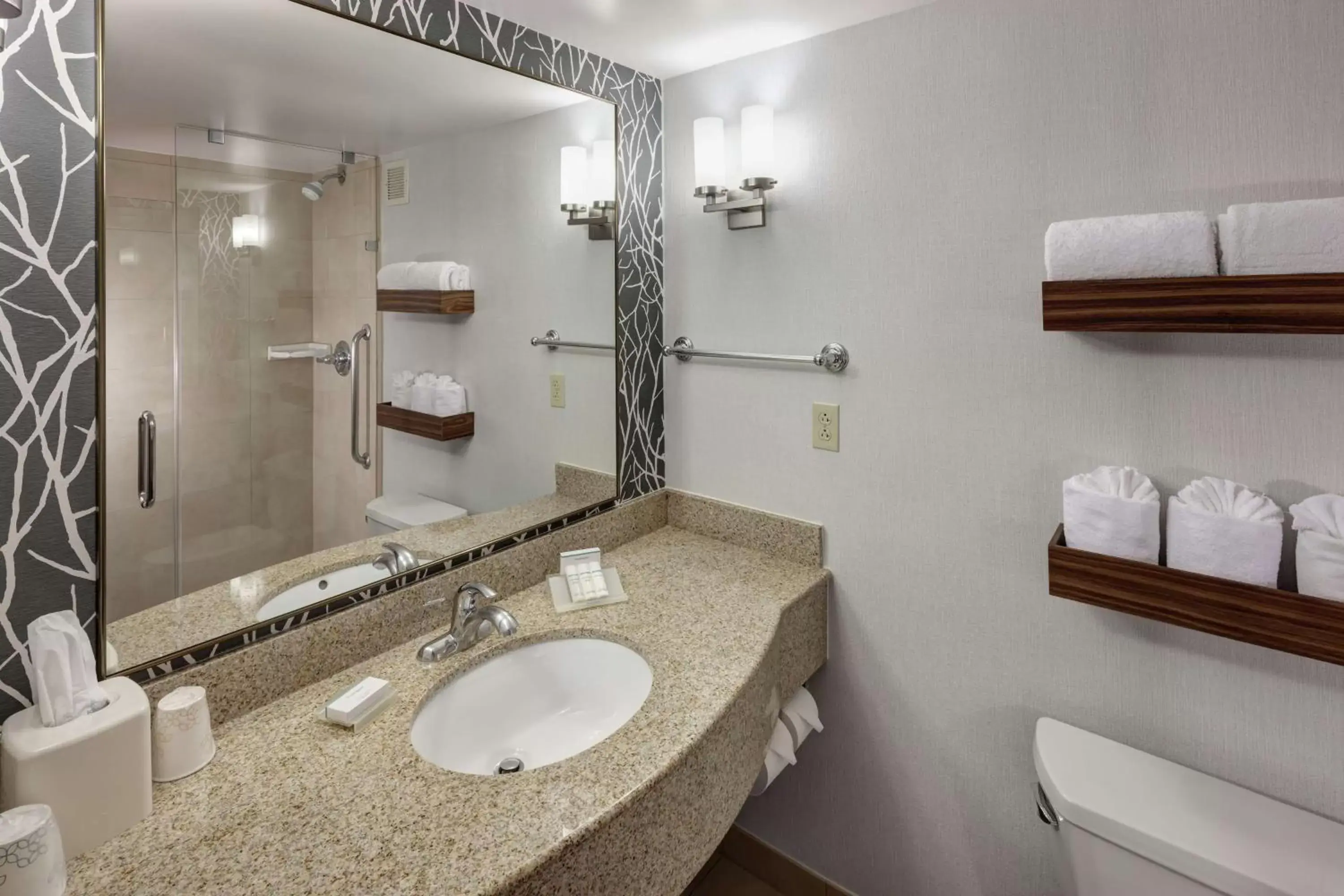 Bathroom in Hilton Garden Inn Naperville/Warrenville