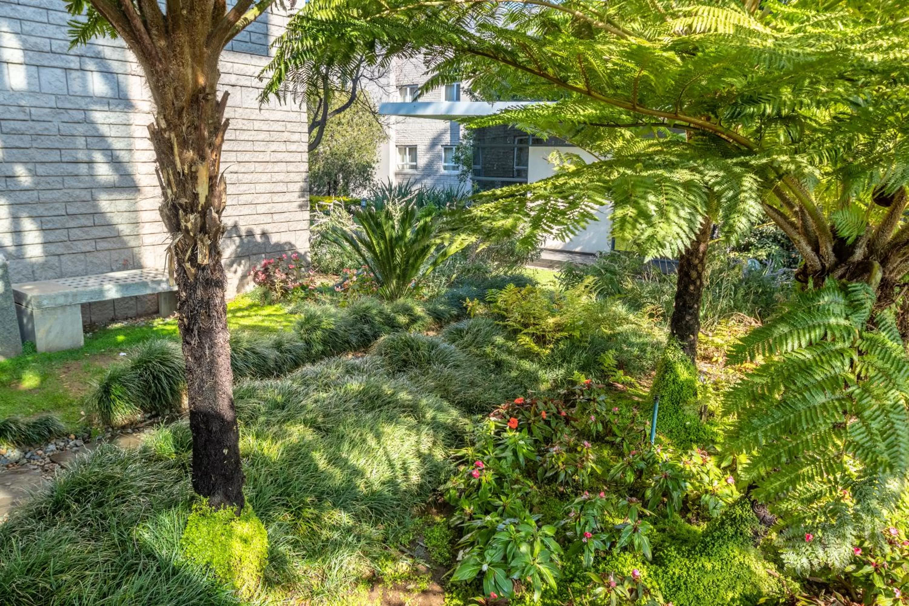 Garden in City Lodge Hotel Johannesburg Airport, Barbara Road